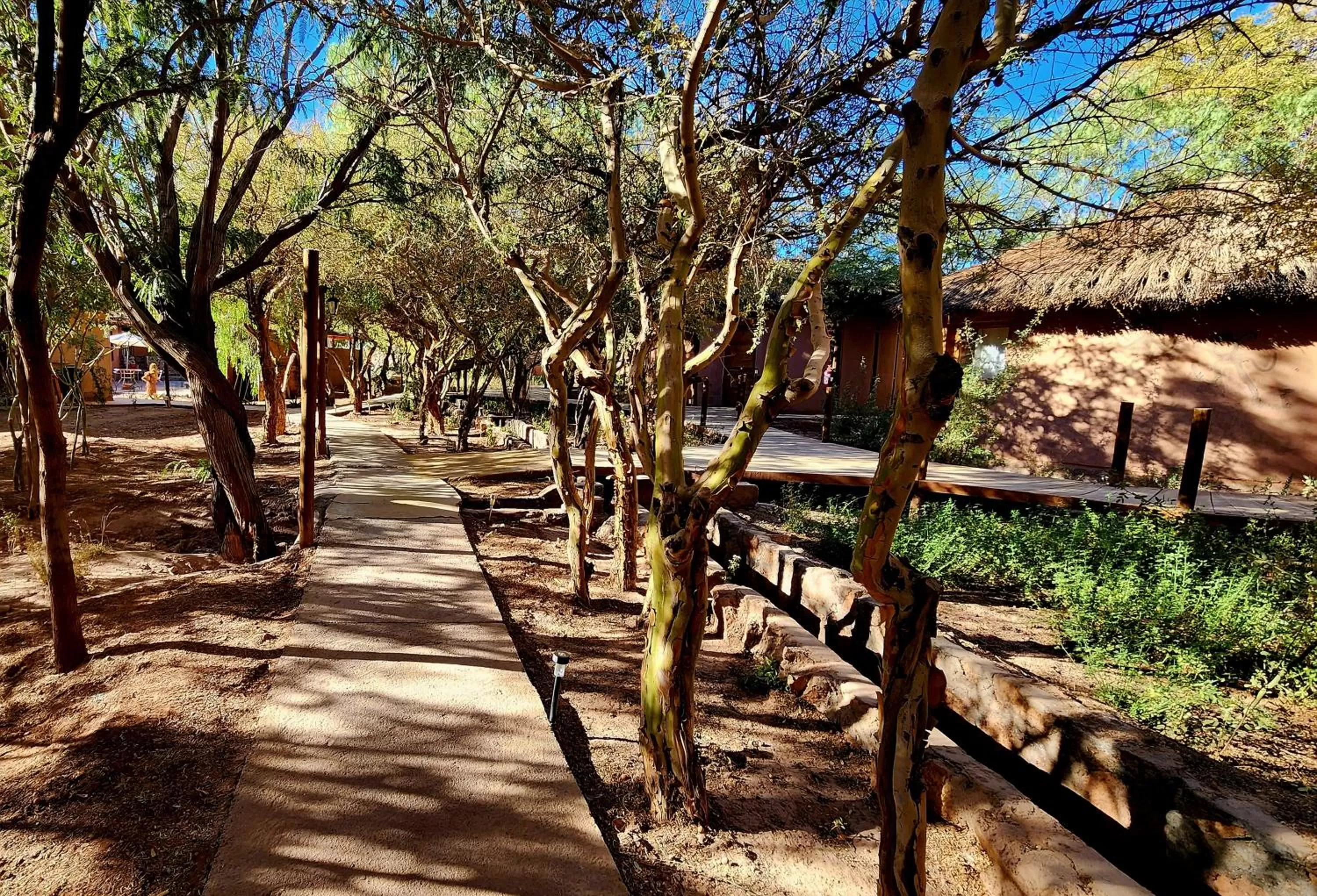Garden in Hotel Tulor