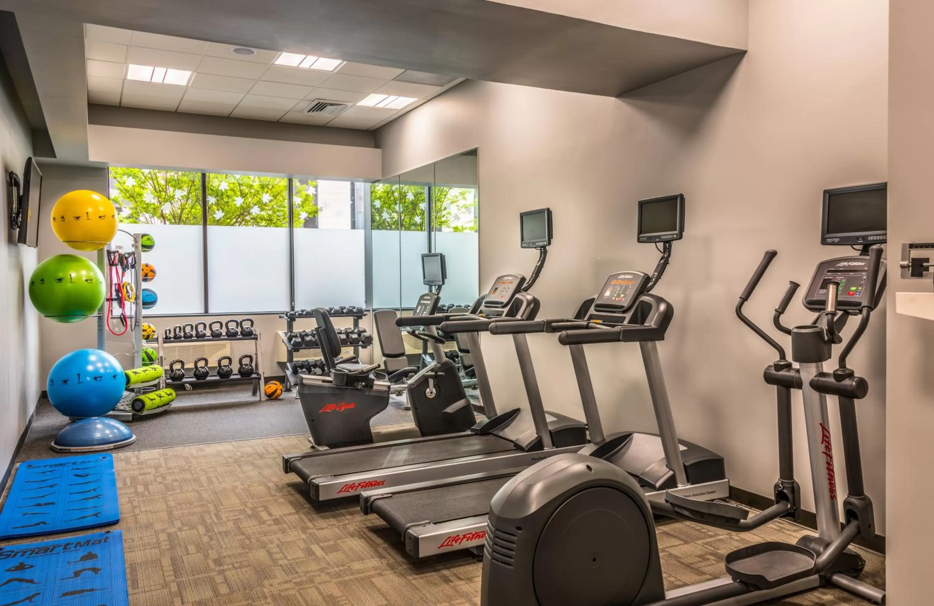 Spa and wellness centre/facilities in Holiday Inn Arlington at Ballston by IHG