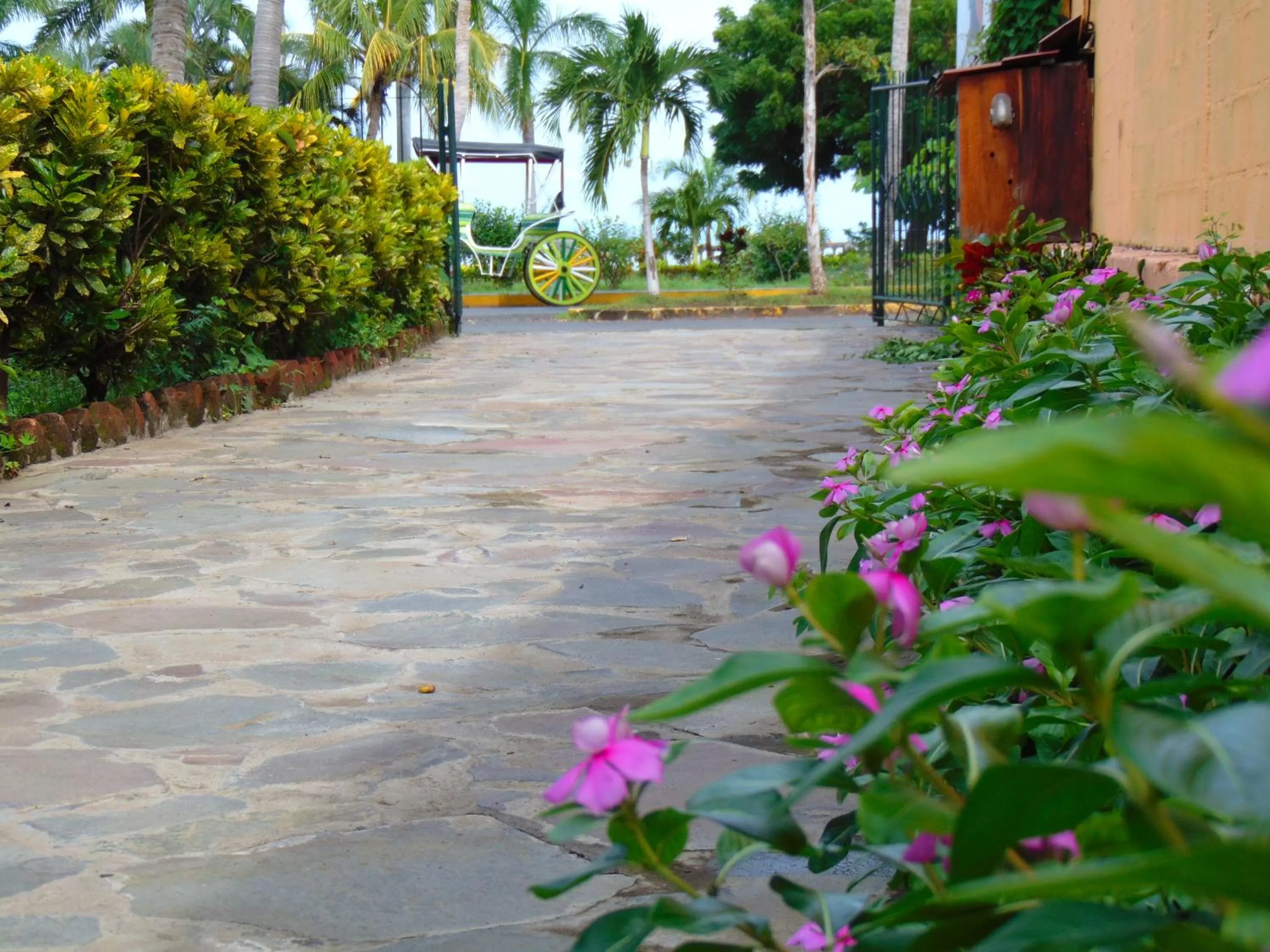 Facade/entrance in Hotel El Maltese