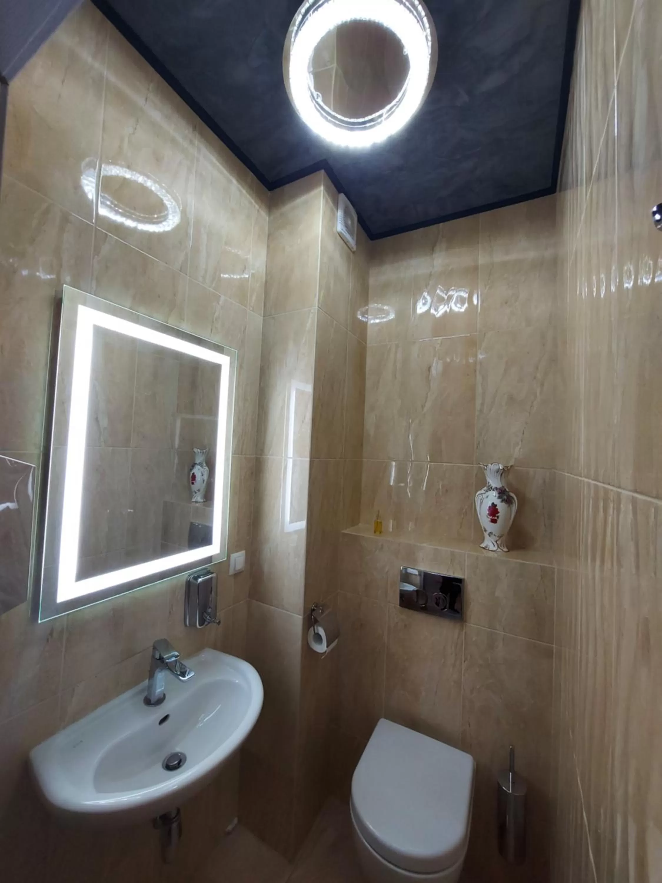 Meeting/conference room, Bathroom in Hotel "Mandarin Clubhouse"