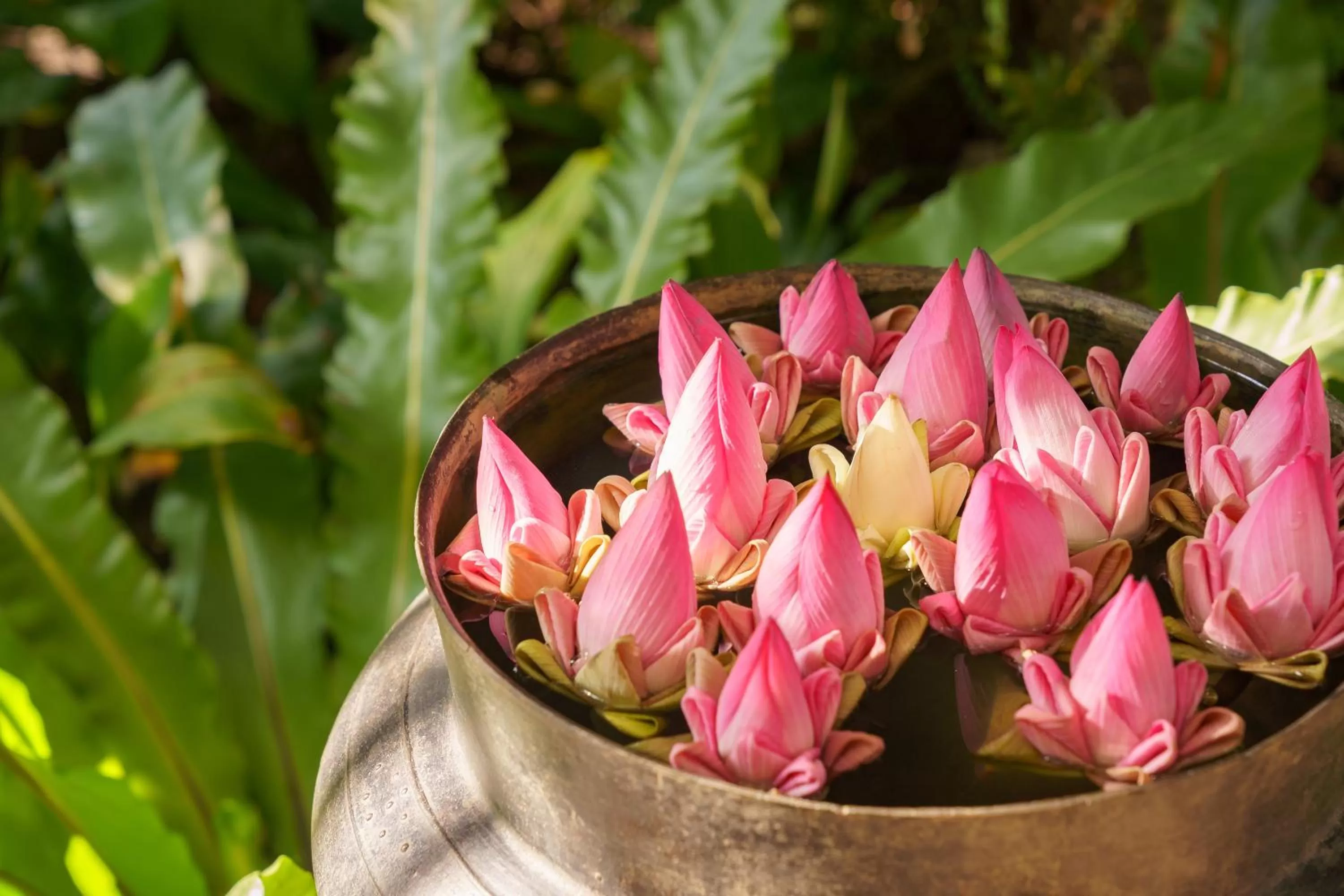 Food and drinks in Koulen Hotel