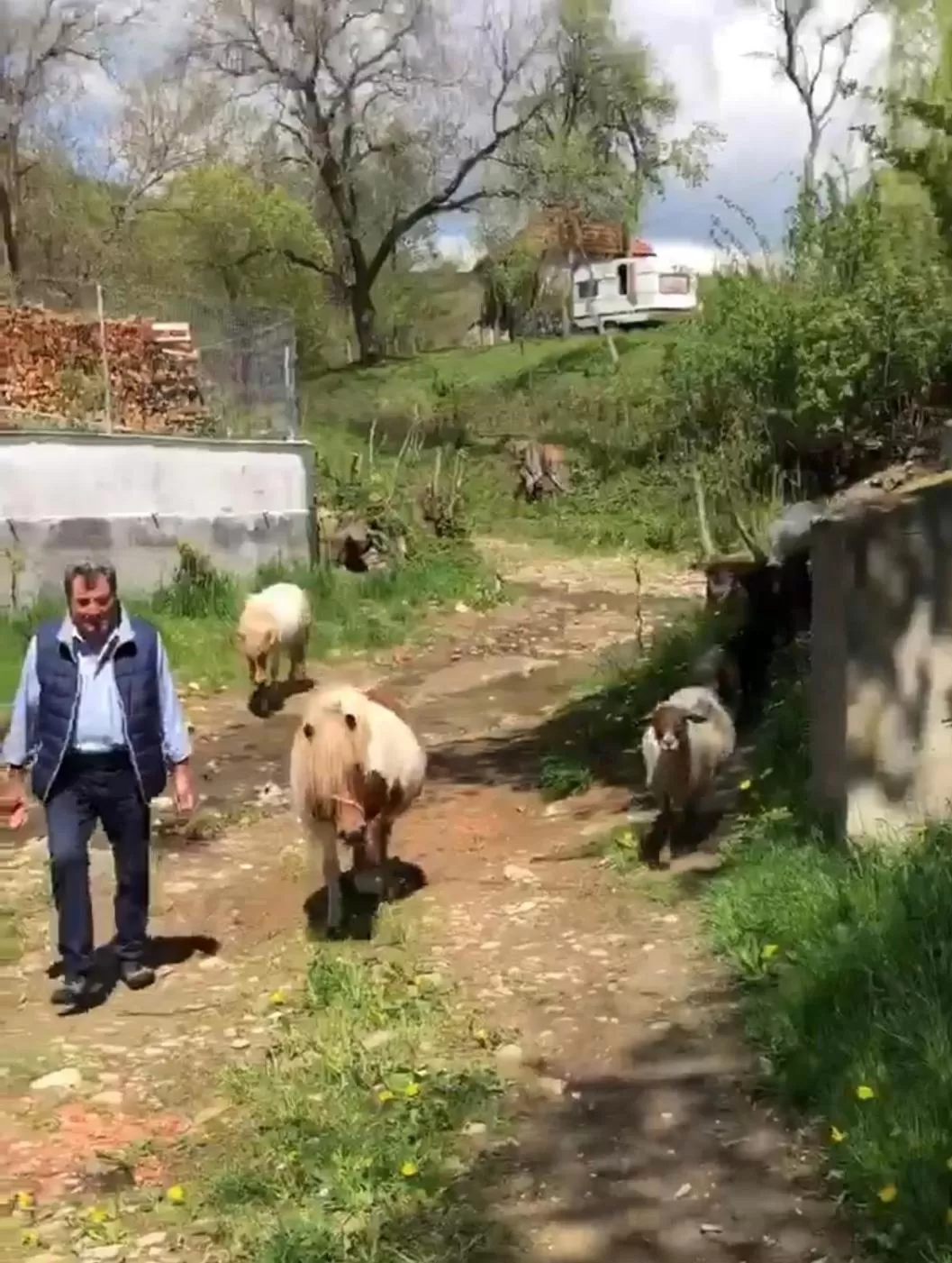 Property building in Pensiunea SilvAnka