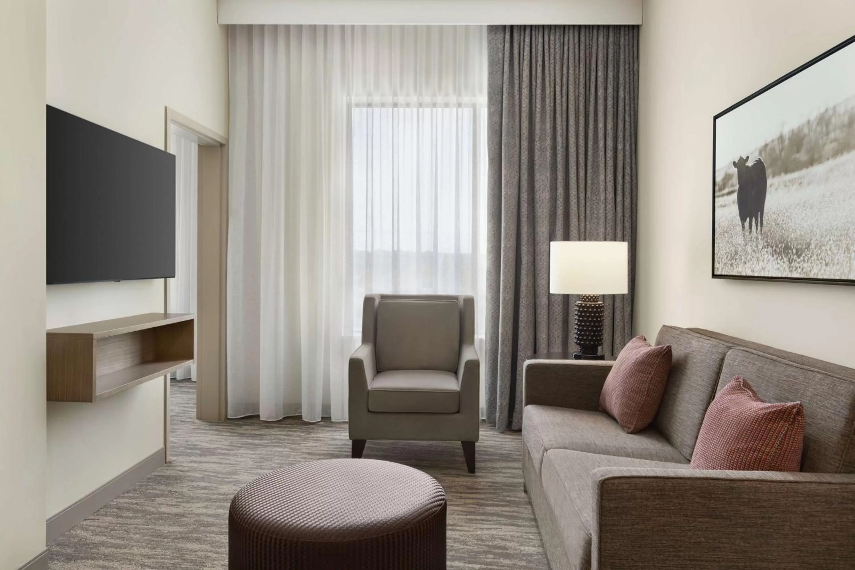 Living room in Embassy Suites by Hilton Round Rock