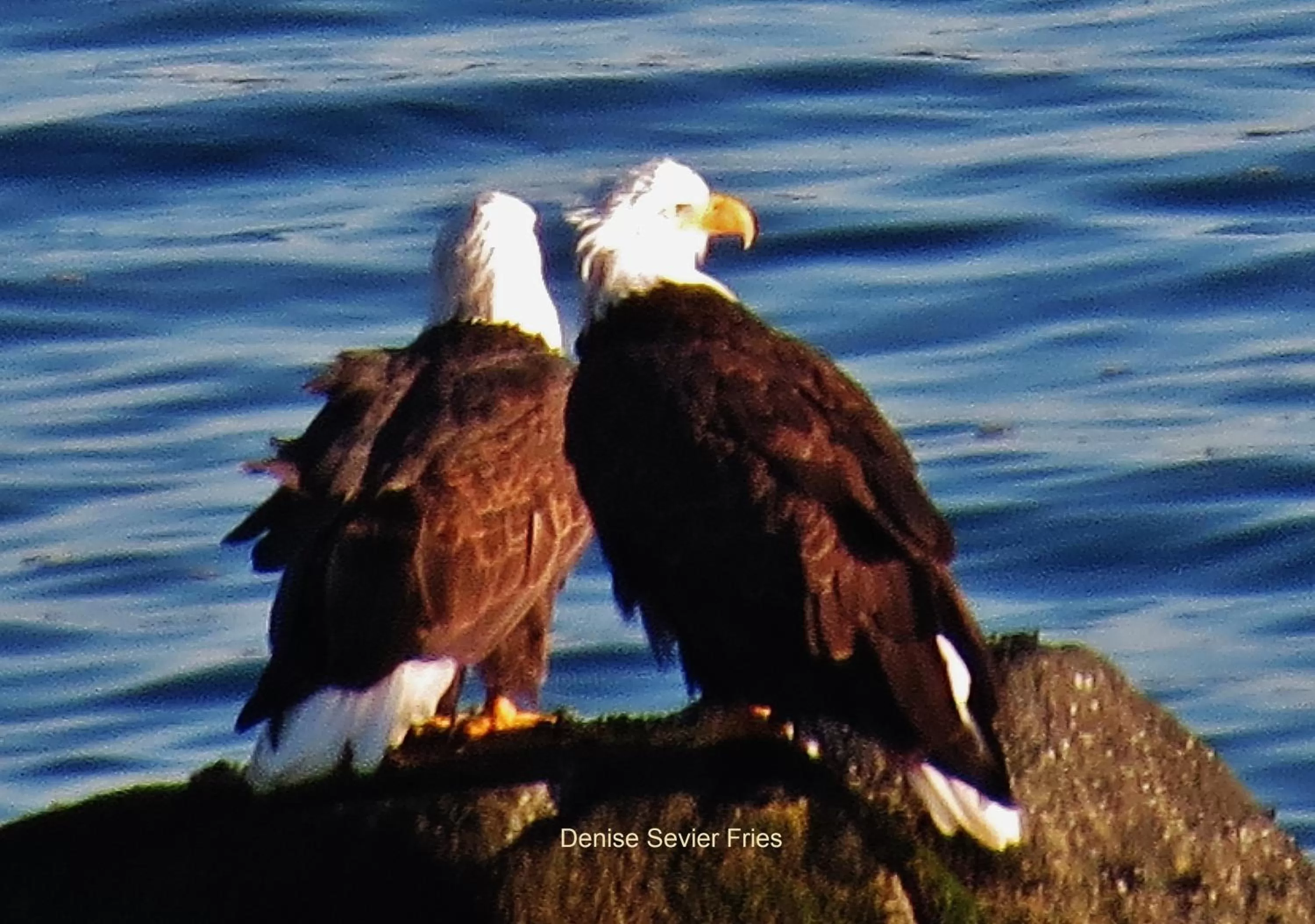 View (from property/room) in Above Tide Motel
