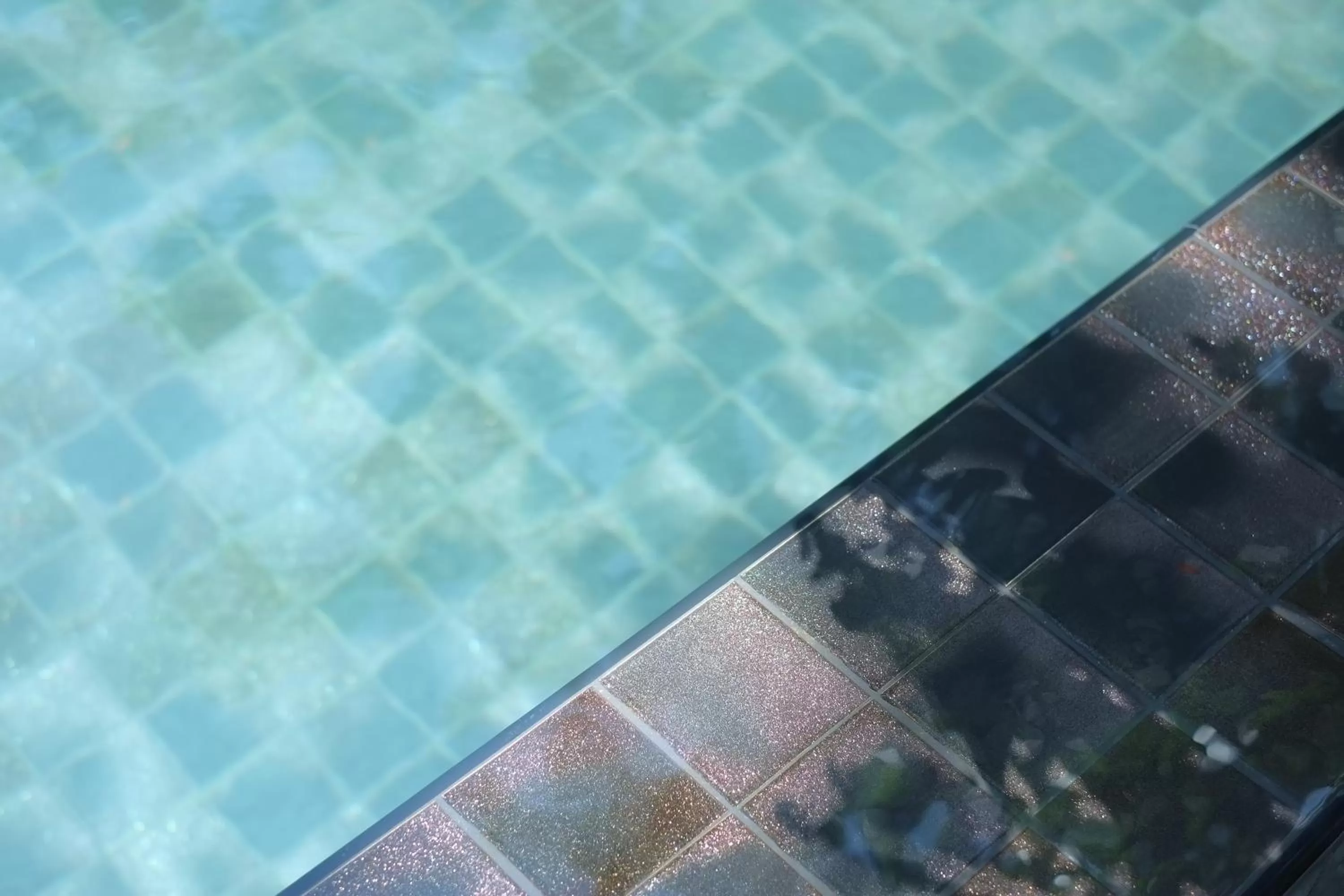 Swimming pool in i-river chiangmai