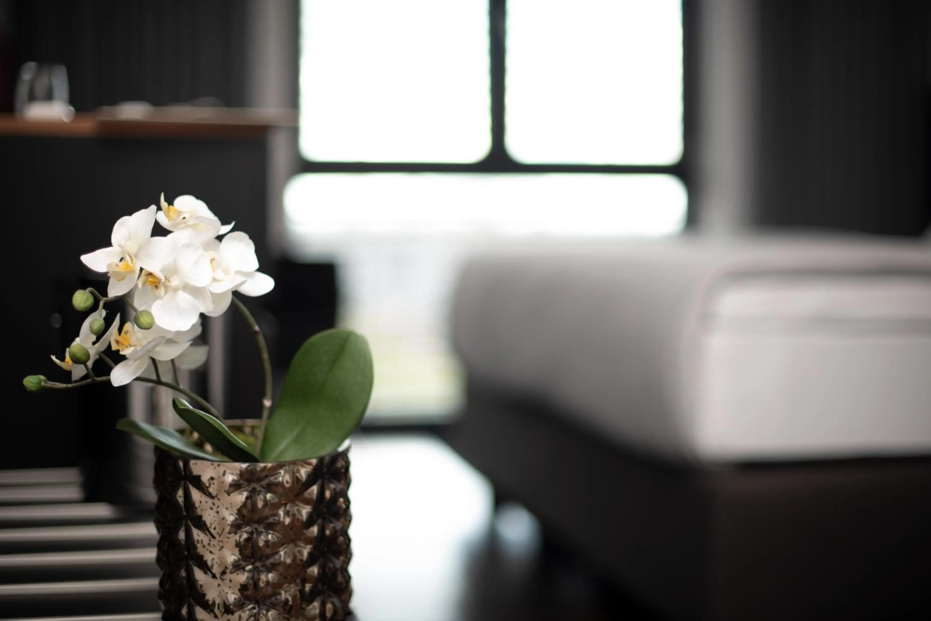 Decorative detail, Seating Area in Jaumann´s Hotel