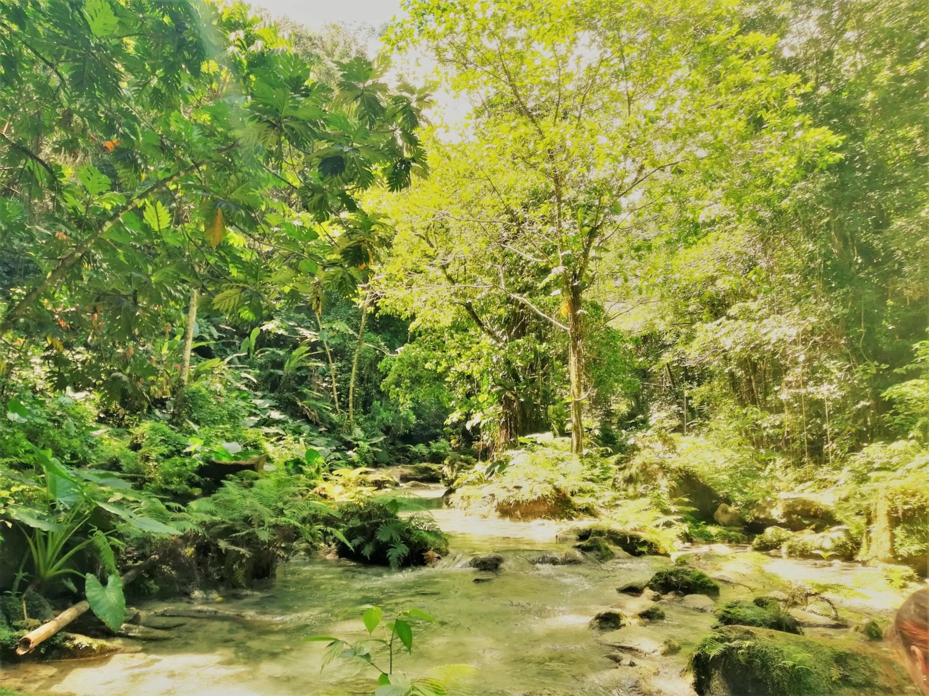 Hiking in TOGA GUEST HOUSE