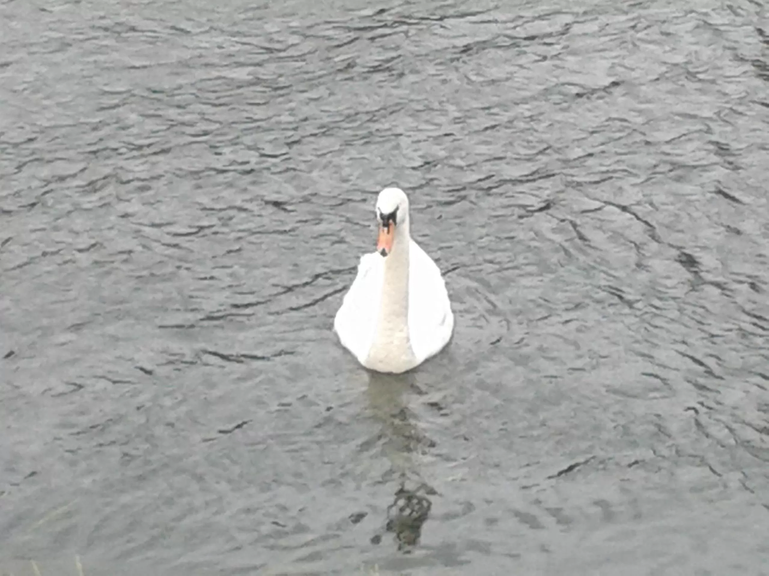 Activities in La Sirène
