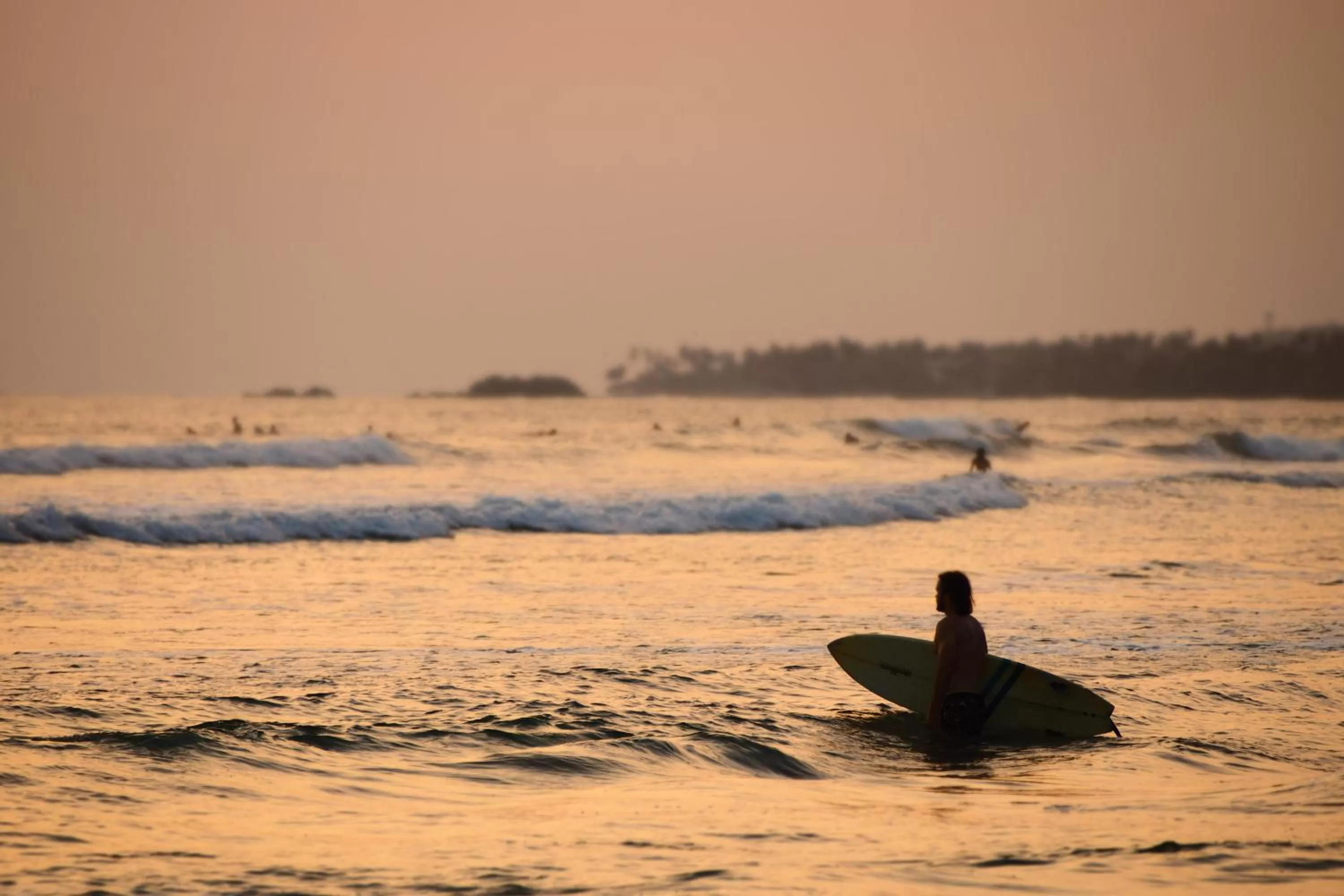 Beach in The Seascape