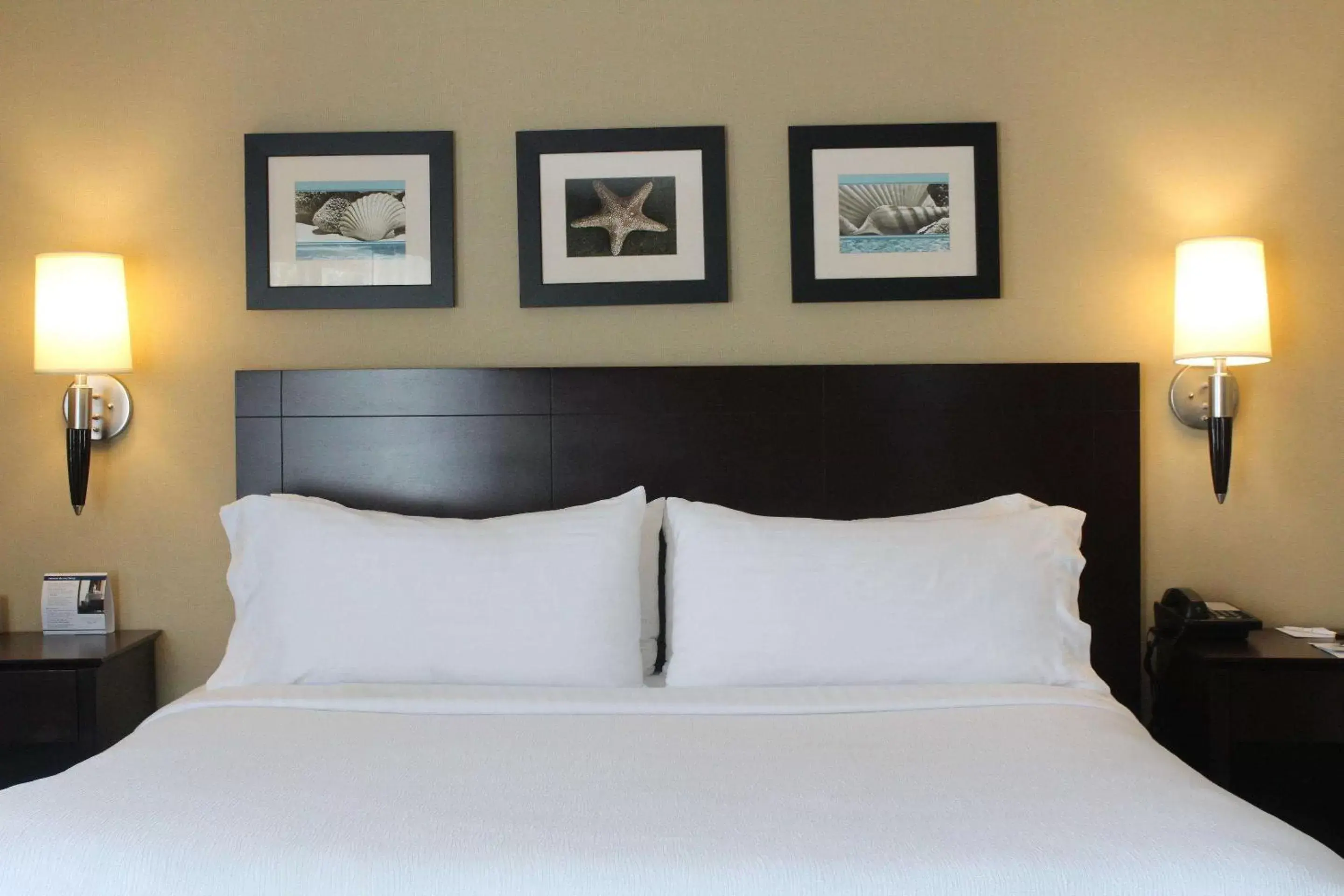 Standard Room, 1 King Bed with Sofa Bed, Non Smoking in The Volare, Ascend Hotel Collection Standard Room, 1 King Bed with Sofa Bed, Non Smoking in The Volare, Ascend Hotel Collection