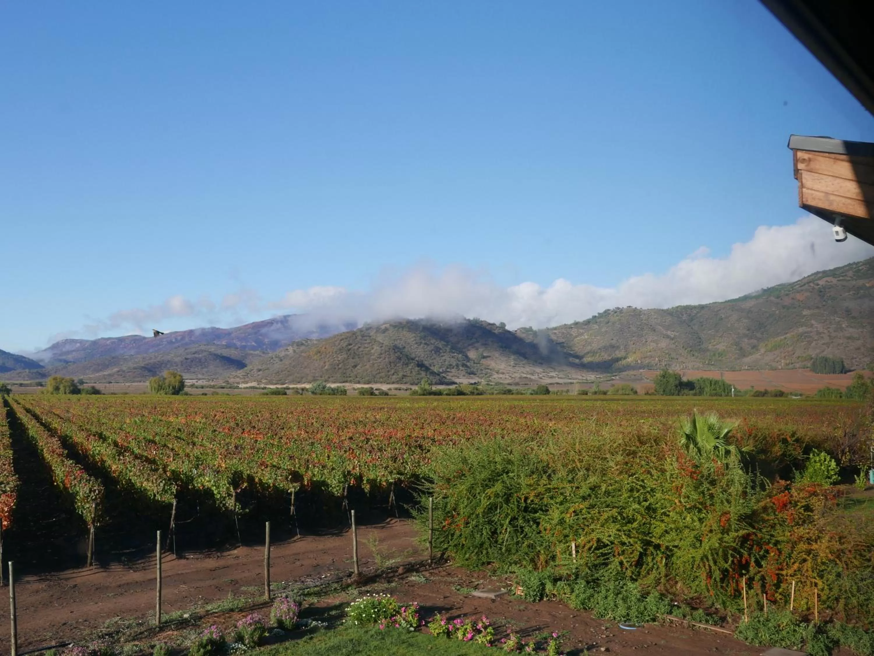 Property building in Callihue Lodge