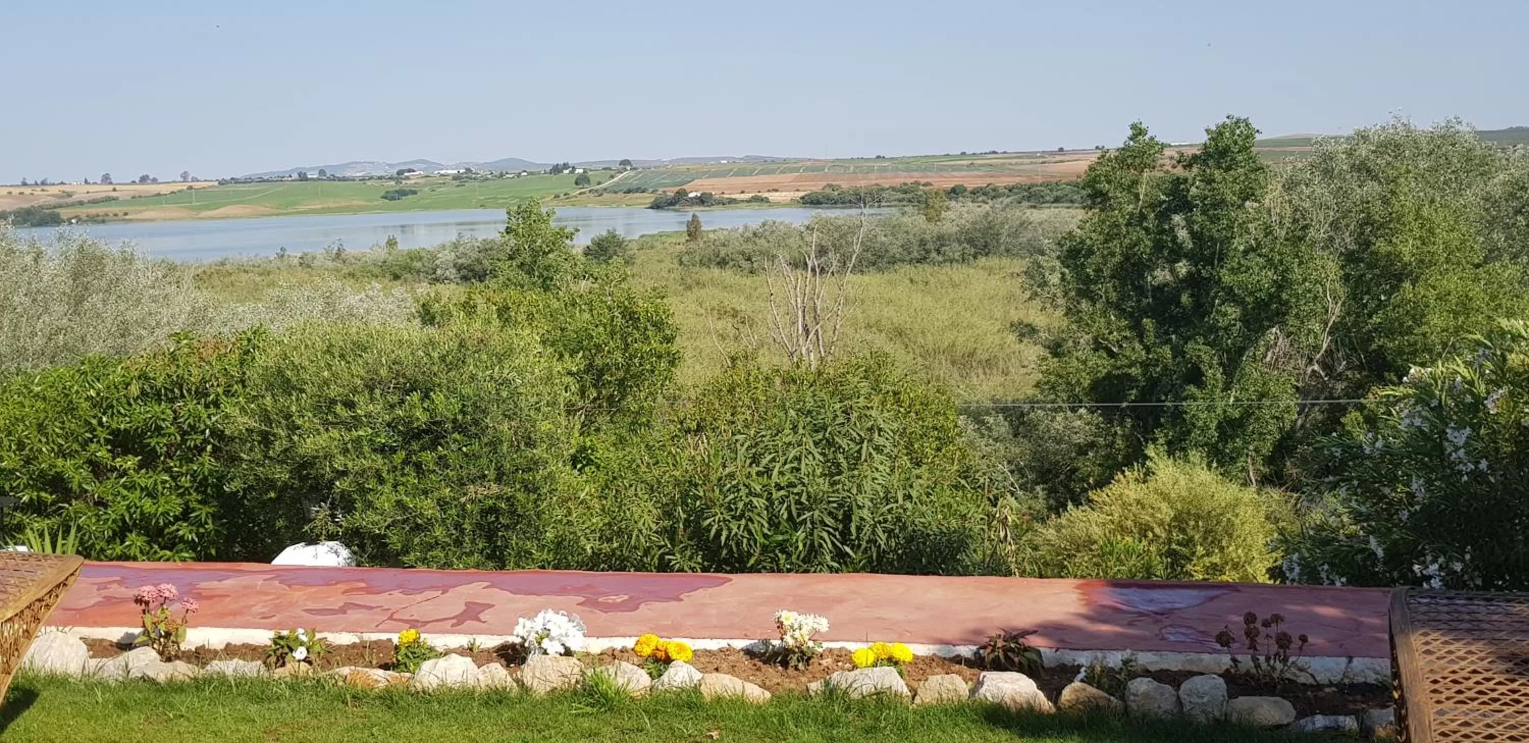 Garden in Hacienda El Santiscal