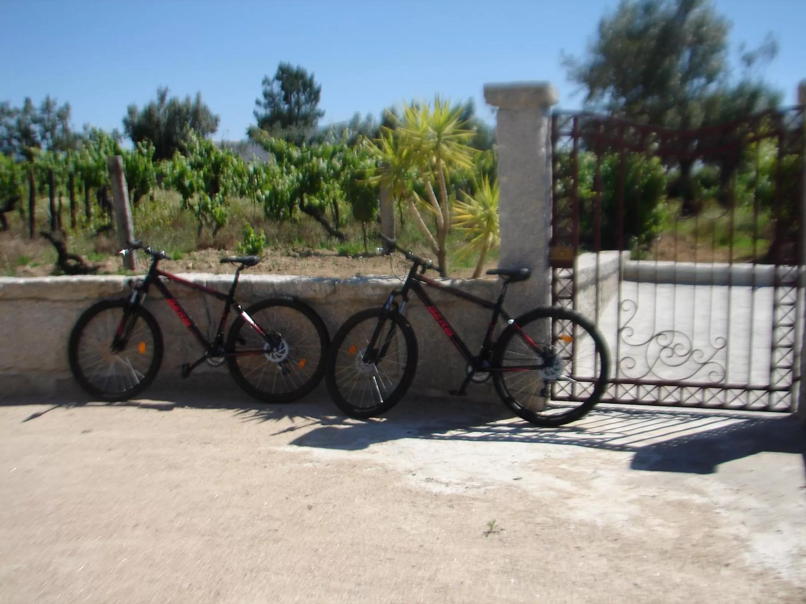 Property building in Casa do Lagar de Tazem