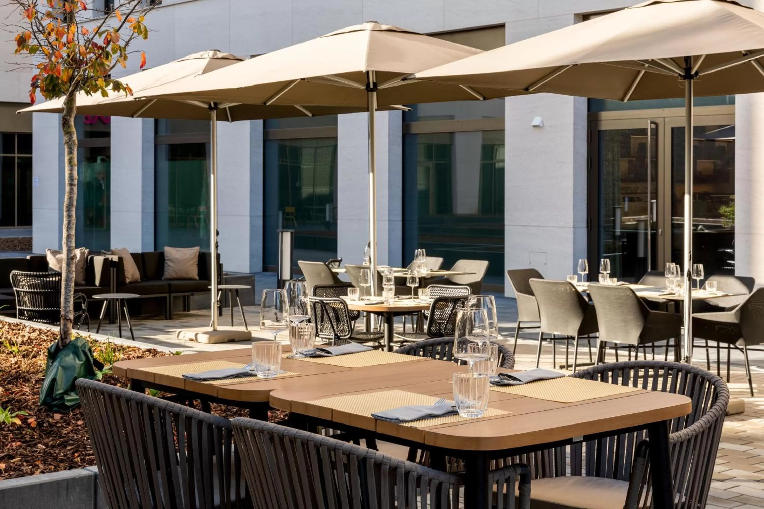 Restaurant/places to eat in AC Hotel by Marriott Wuerzburg