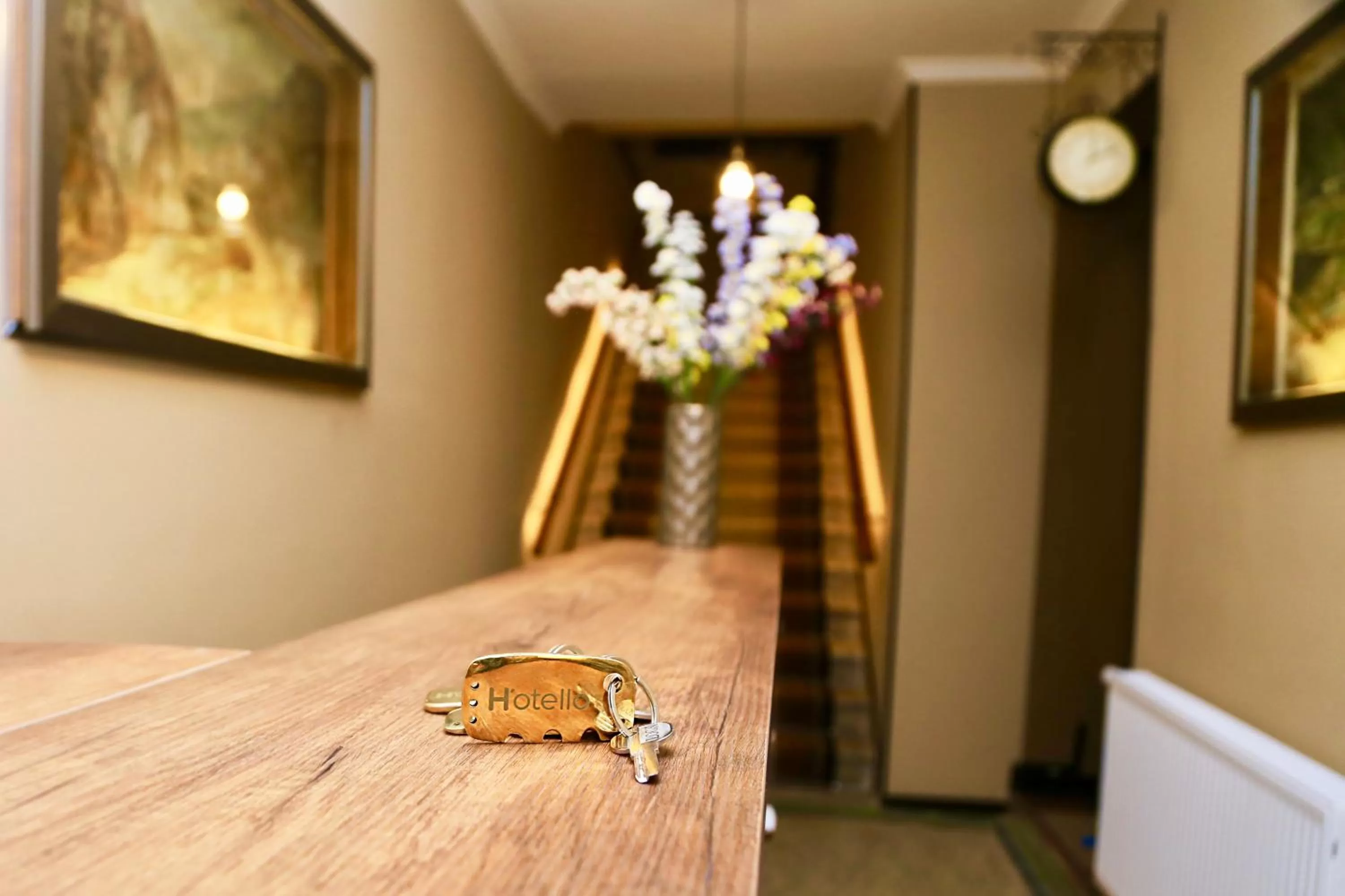 Property building in Hotello