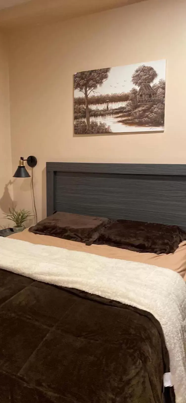 Palau Paradise Comfort Palau Paradise Comfort