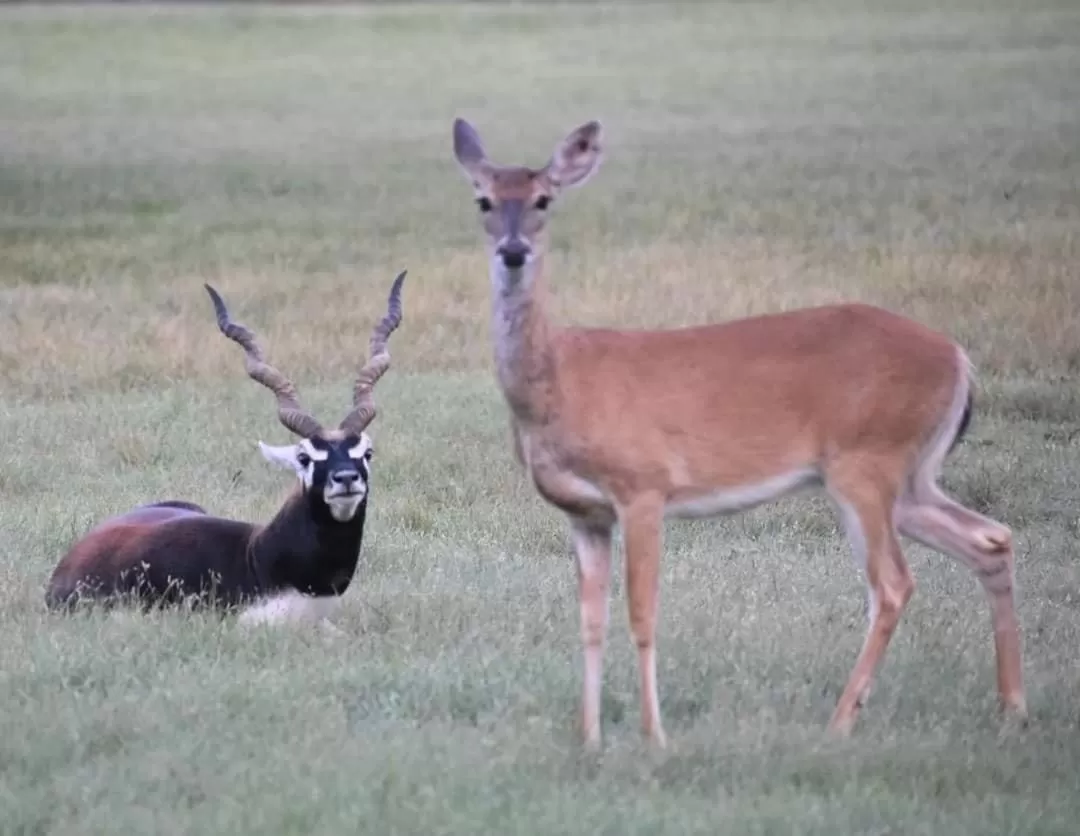 Flying L Ranch Resort & Golf Course