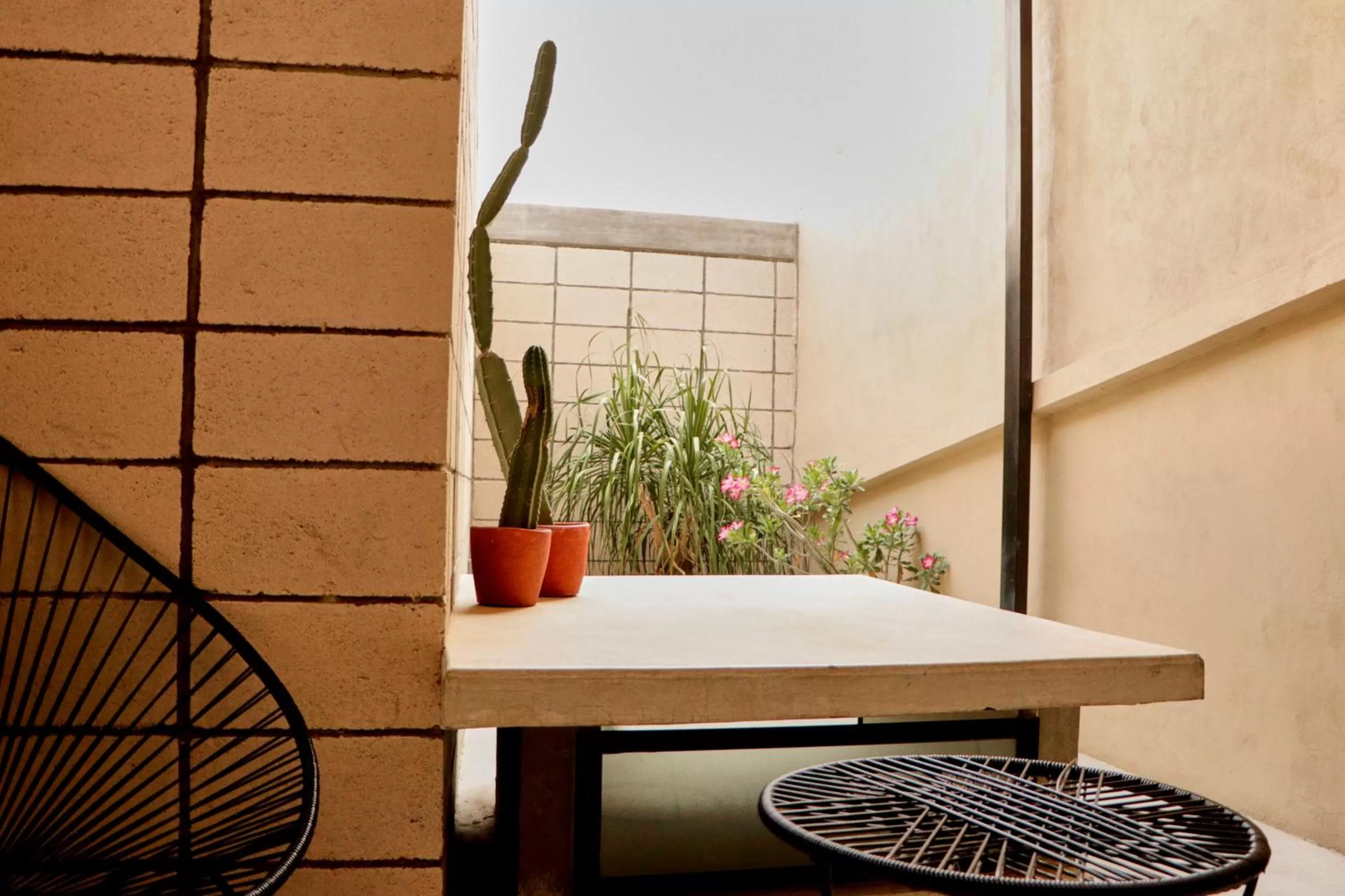 Casa Nomada Tuxtla Hotel - Hostal