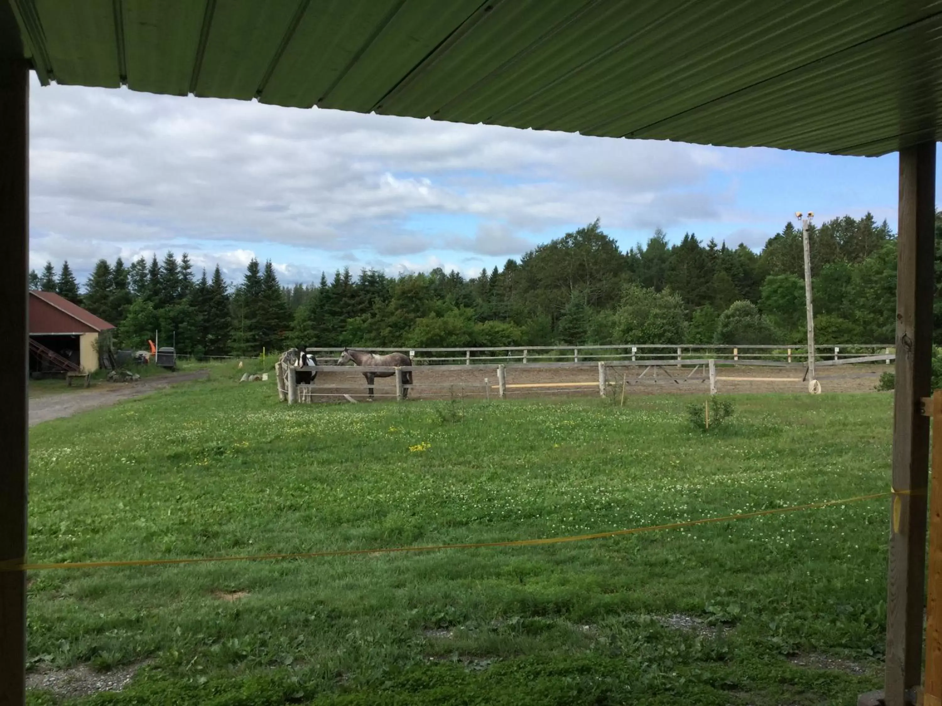 Studio with Terrace in Gite chez Gilles Lévesque Studio with Terrace in Gite chez Gilles Lévesque