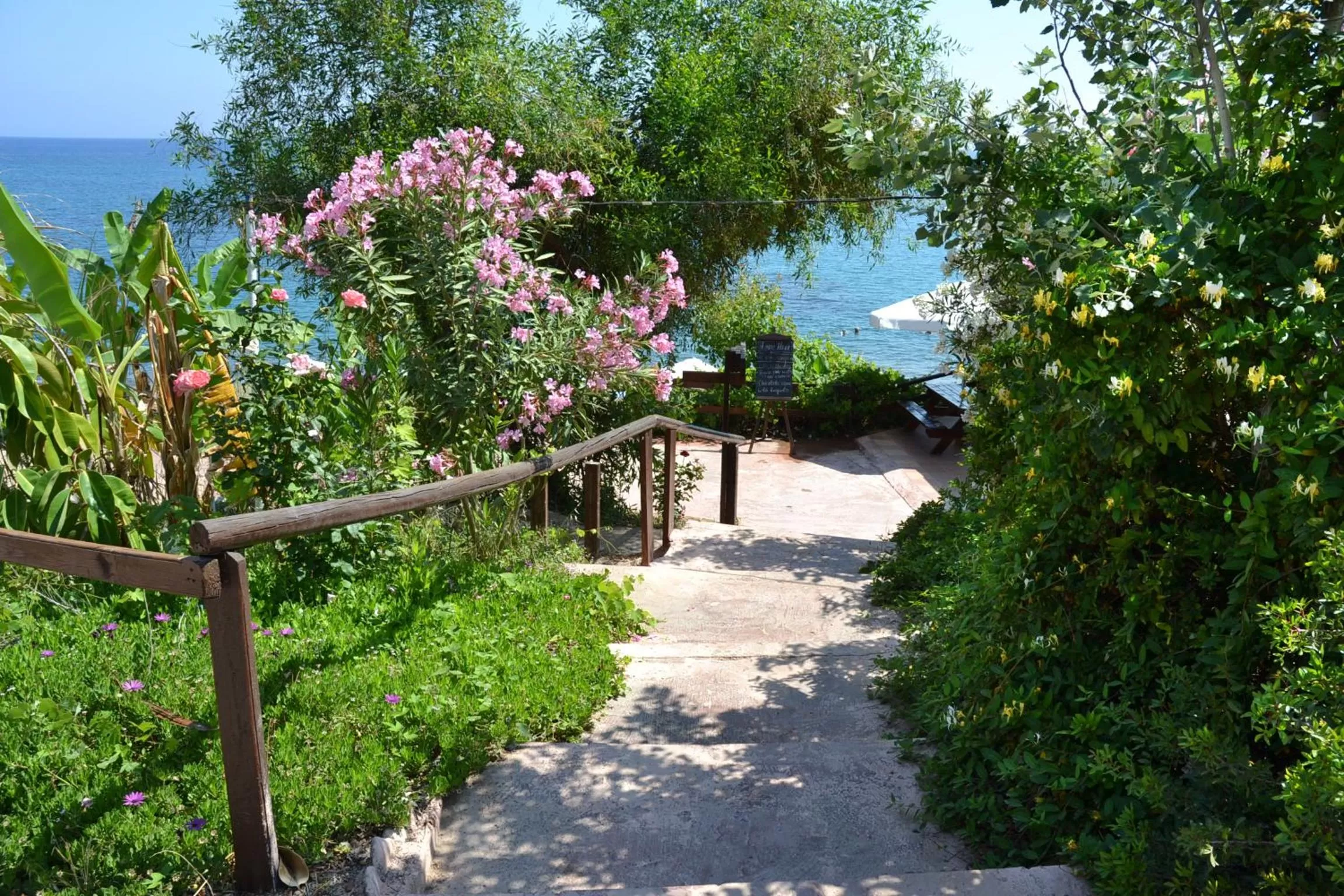 Other in Aphrodite Beach Hotel