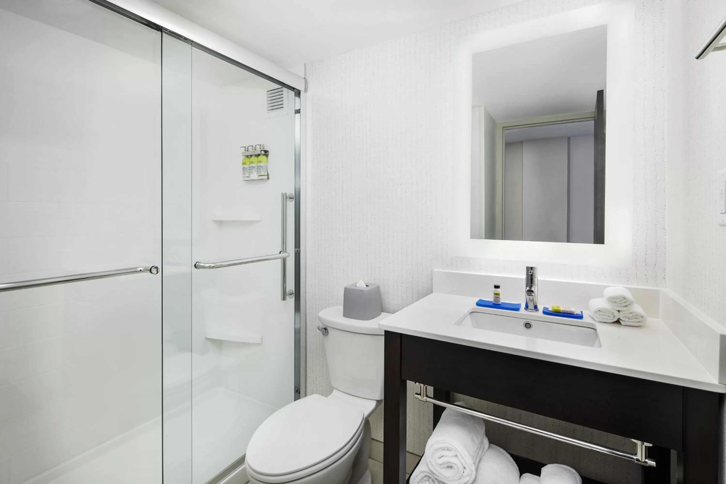 Bathroom in Holiday Inn Express Richmond - Midtown by IHG