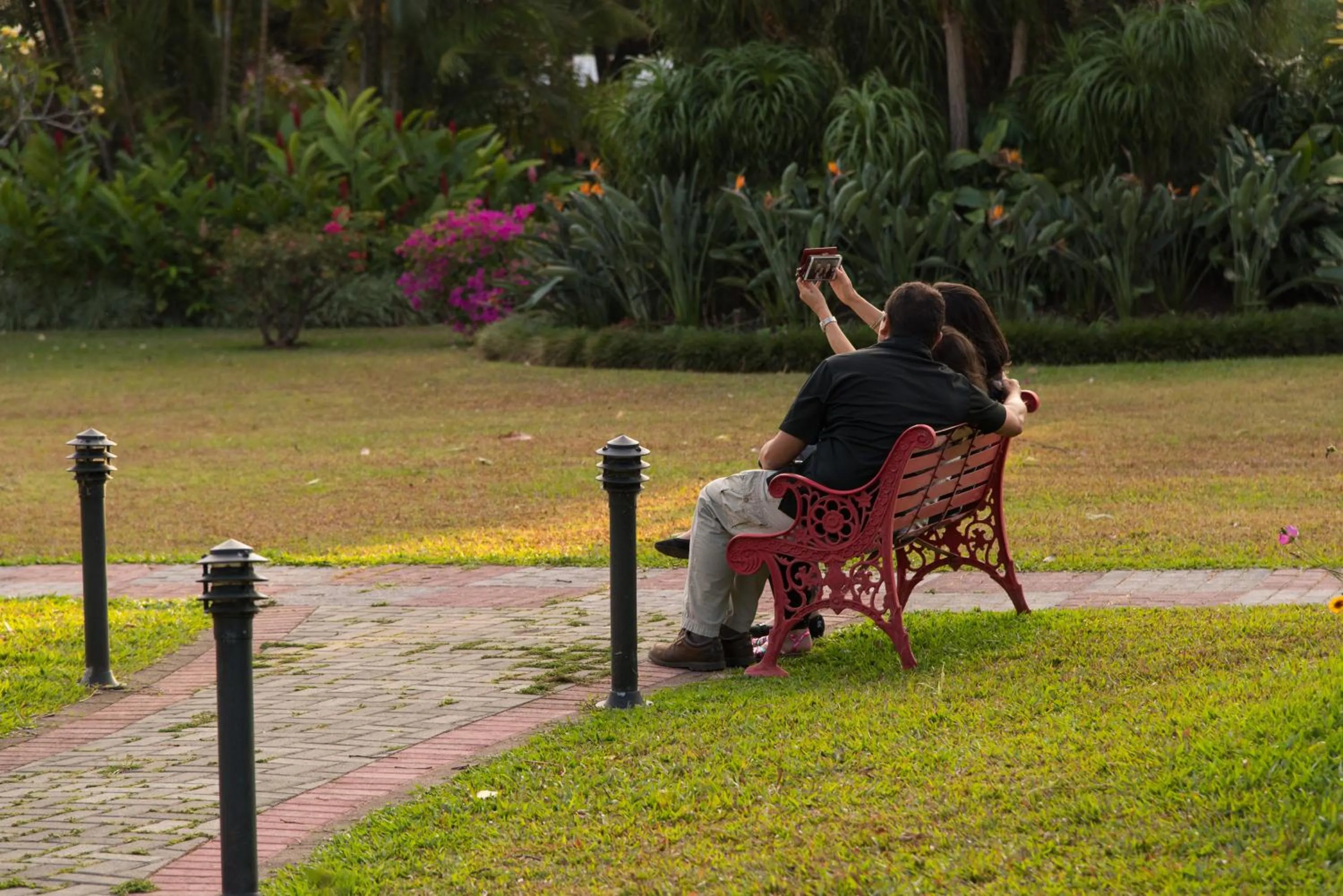 Garden in Hotel Bougainvillea San José