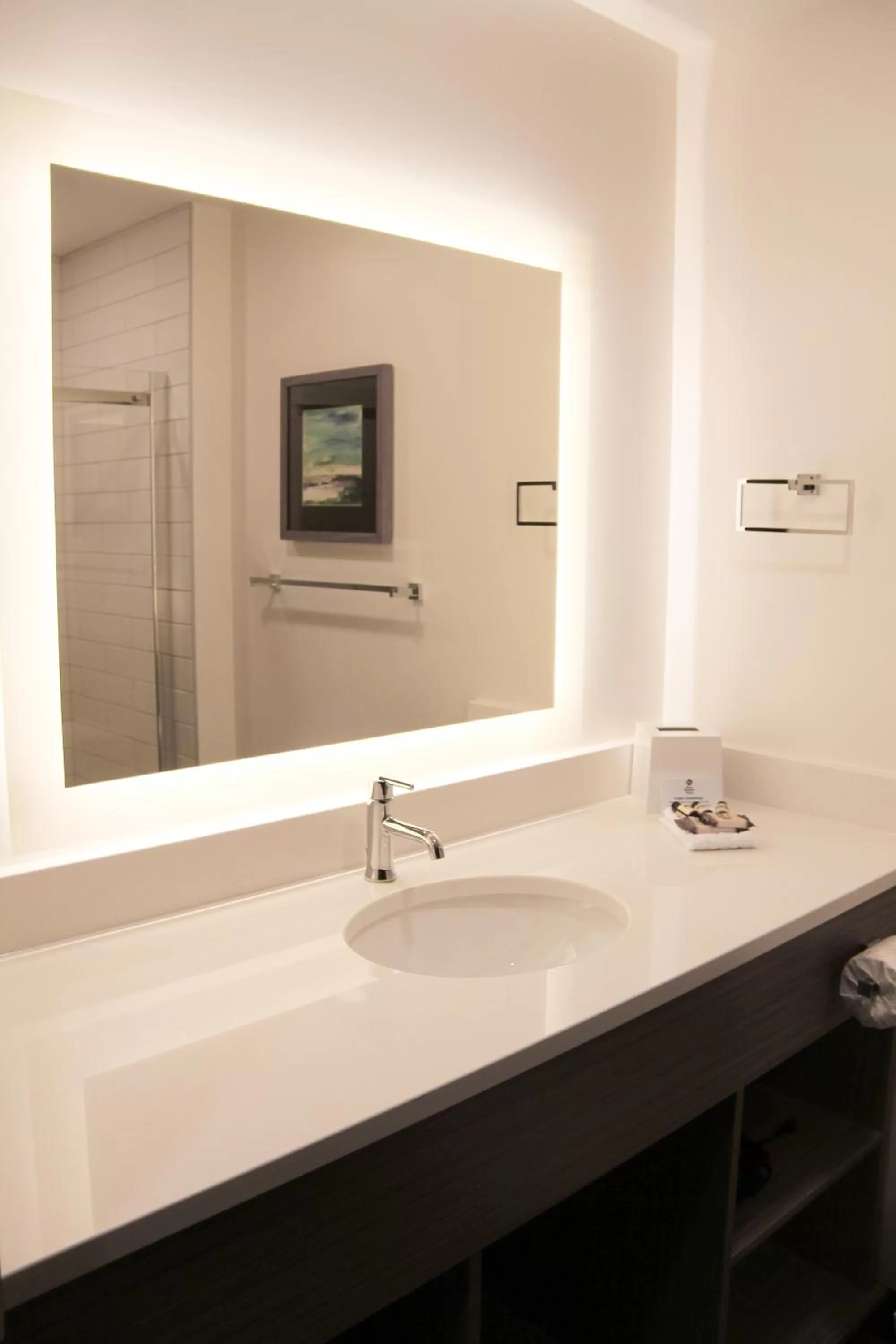 Bathroom in Best Western Plus Winkler