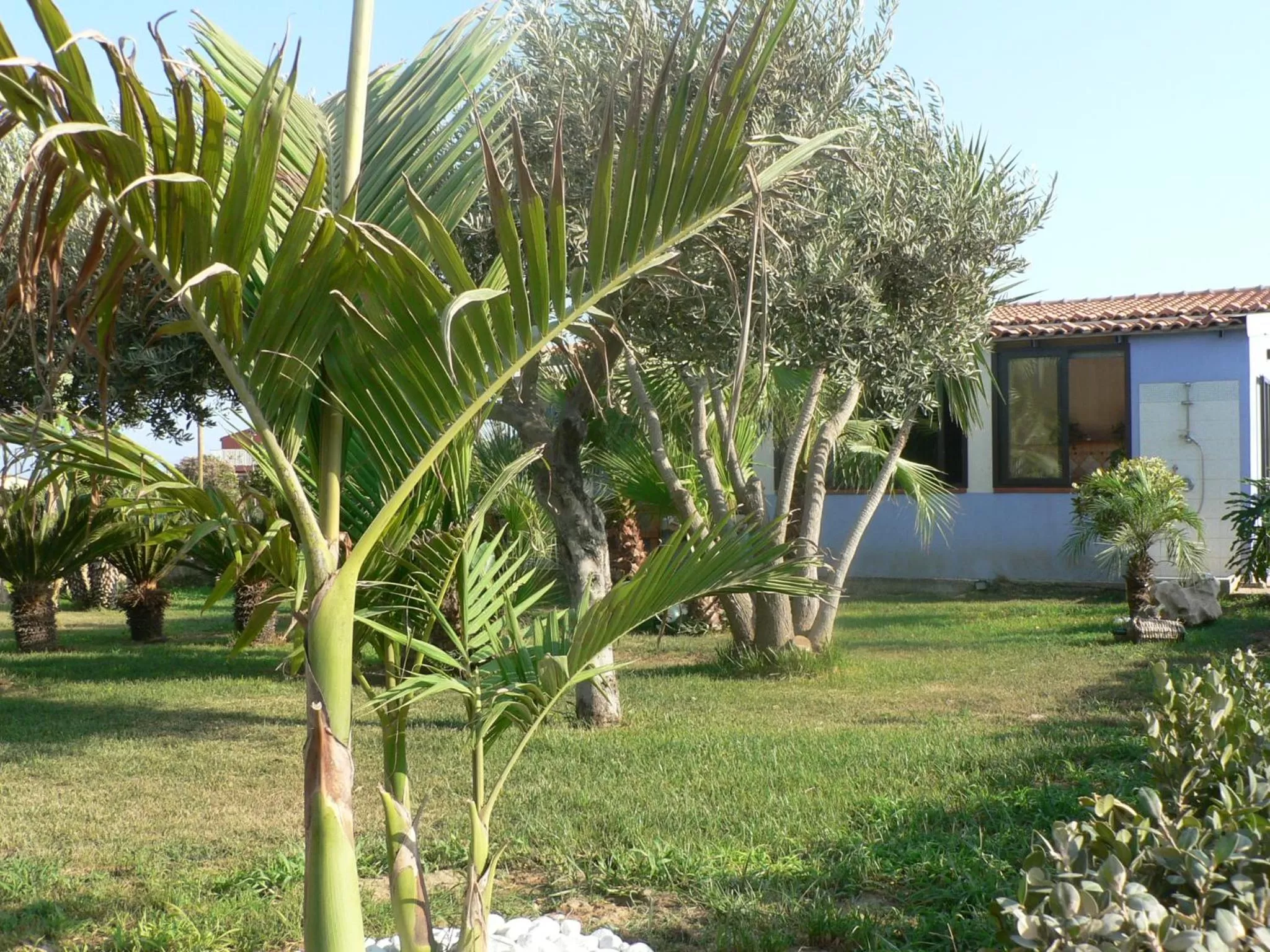 Garden in B&B Villa Francesco