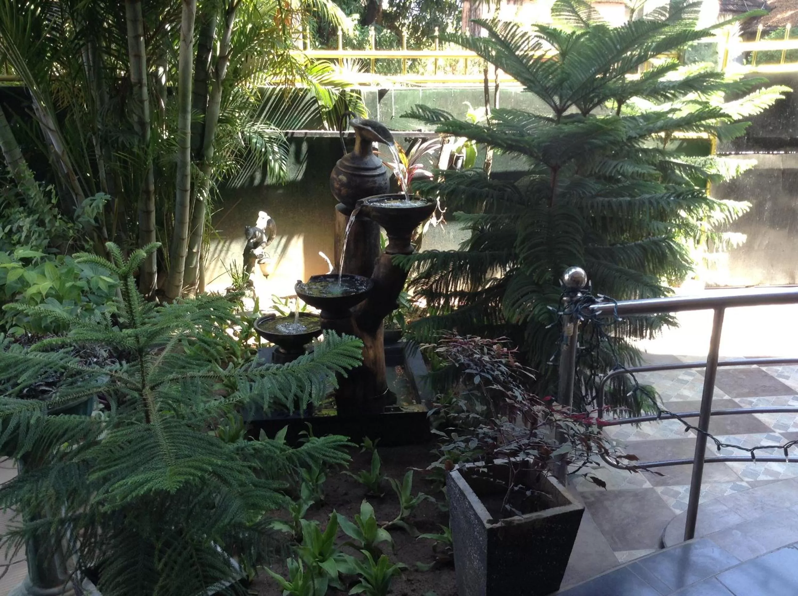 Garden view in Sunshine Hotel