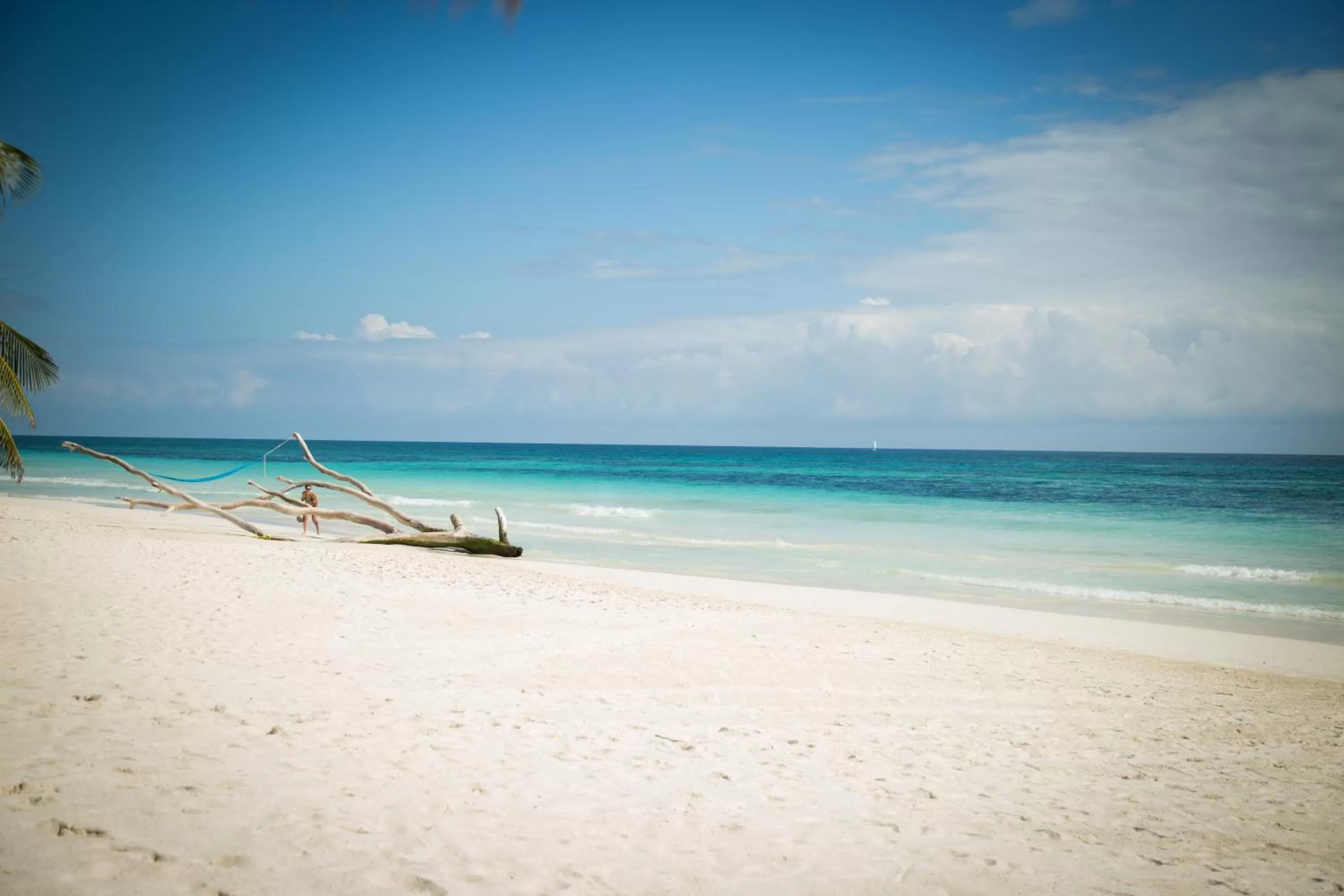 Beach in Encantada Tulum