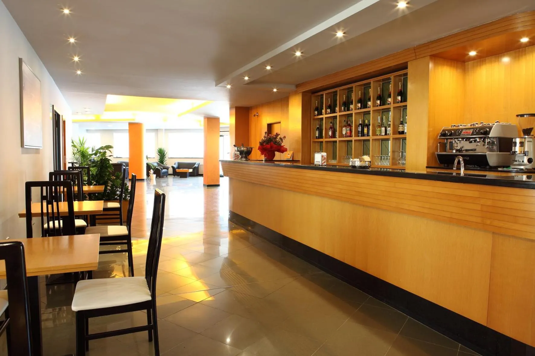 Lounge or bar in Hotel Romanisio