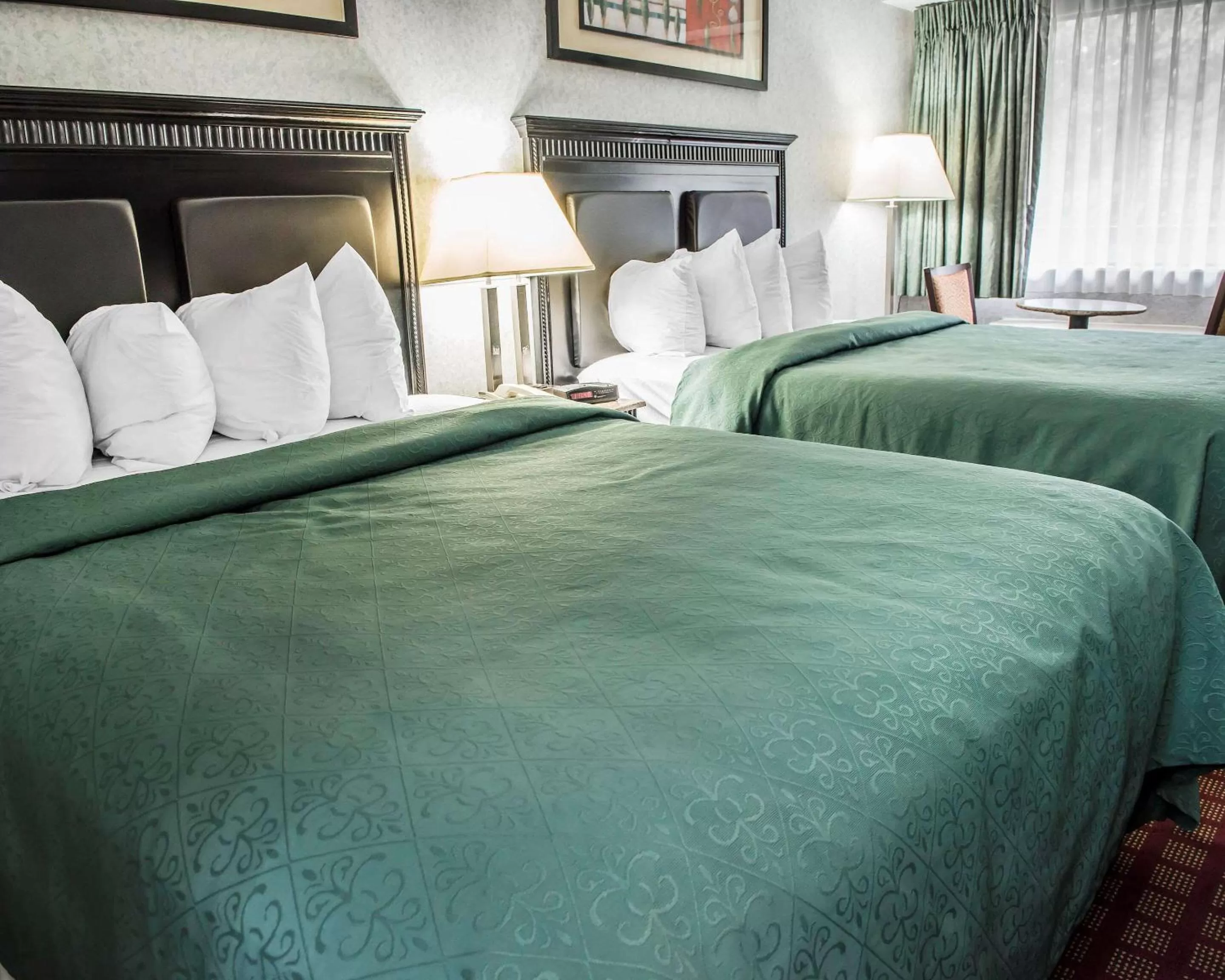 Photo of the whole room, Bed in Quality Inn & Suites Gibsonia - Pittsburgh North