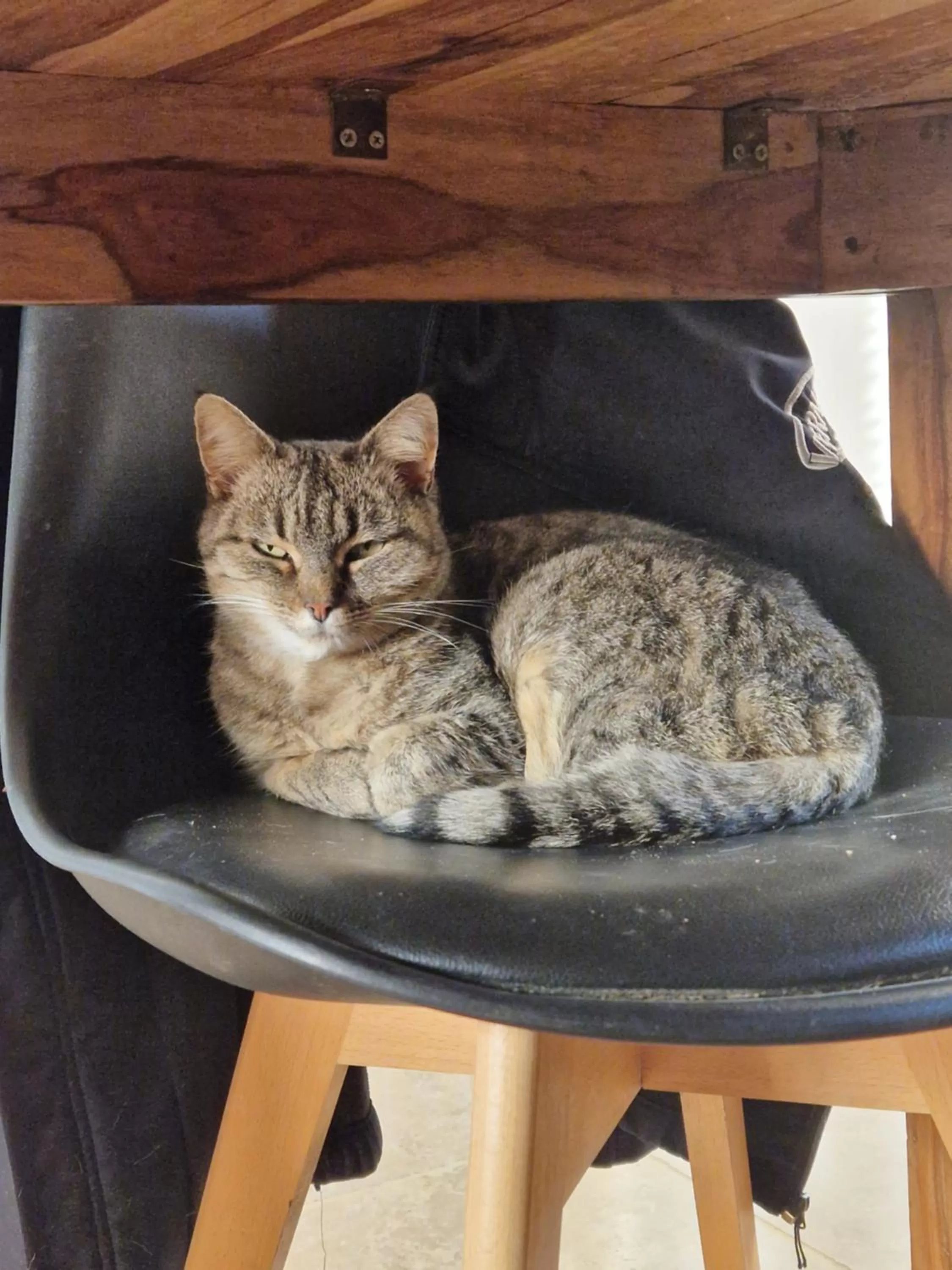 Bastide Bellugue Maison d'hôtes réseau Bienvenue à La Ferme à 3 minutes de Lourmarin