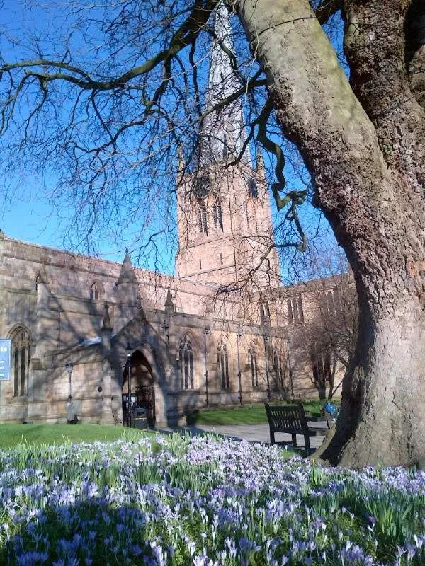 Activities in Church Villa B & B