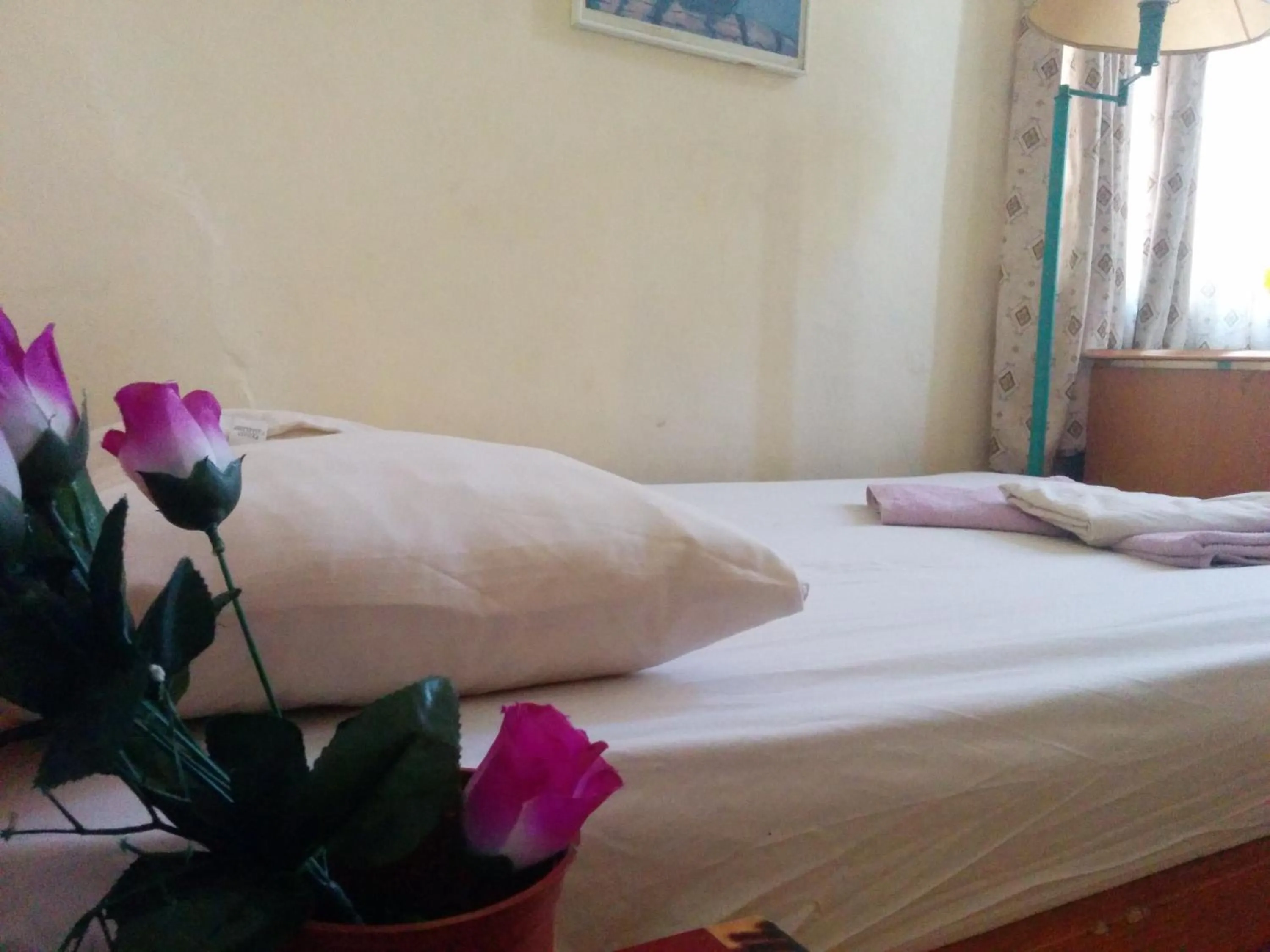 Standard Double Room in Momos Hostel