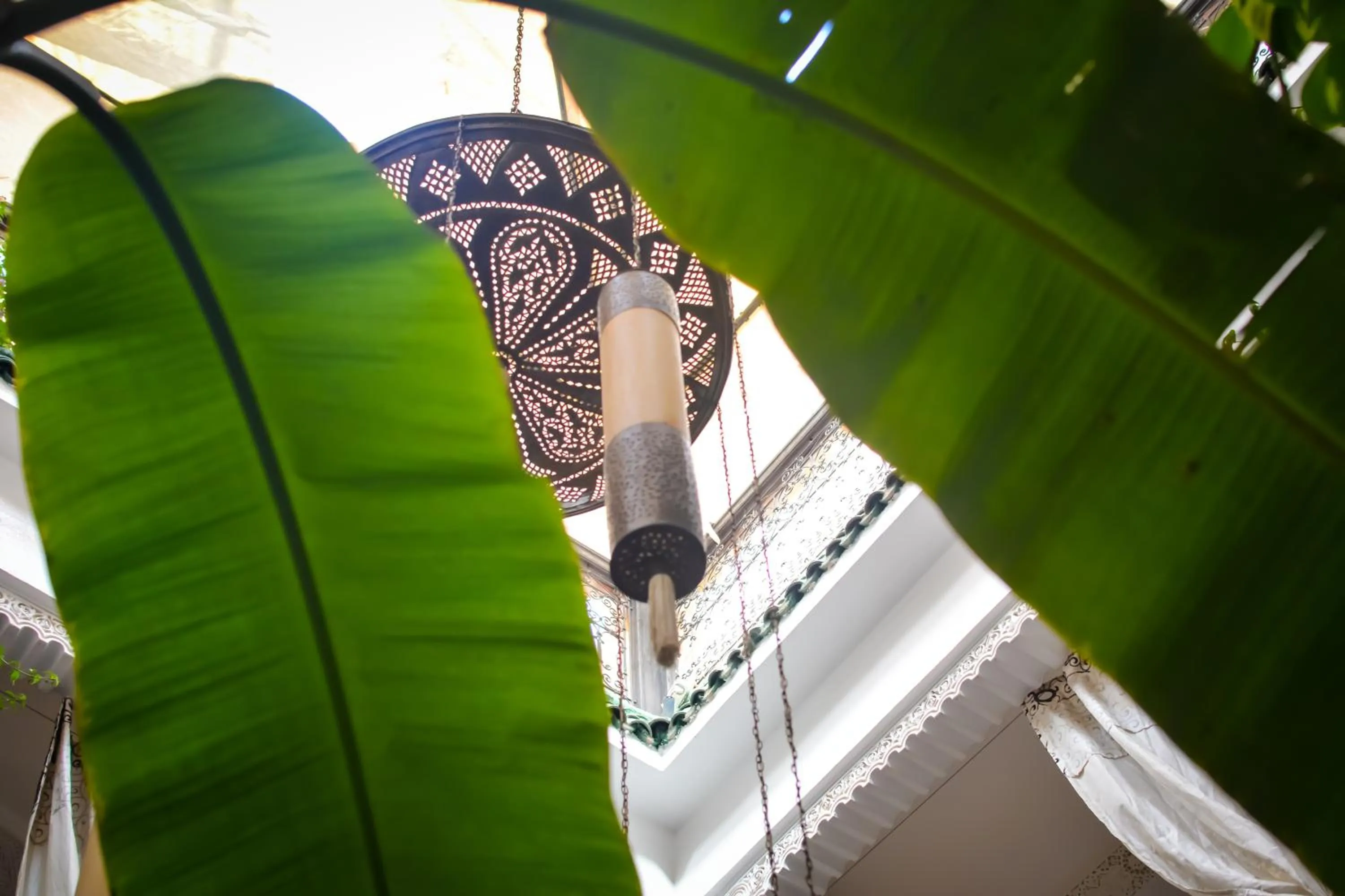 View (from property/room) in Riad Eloise