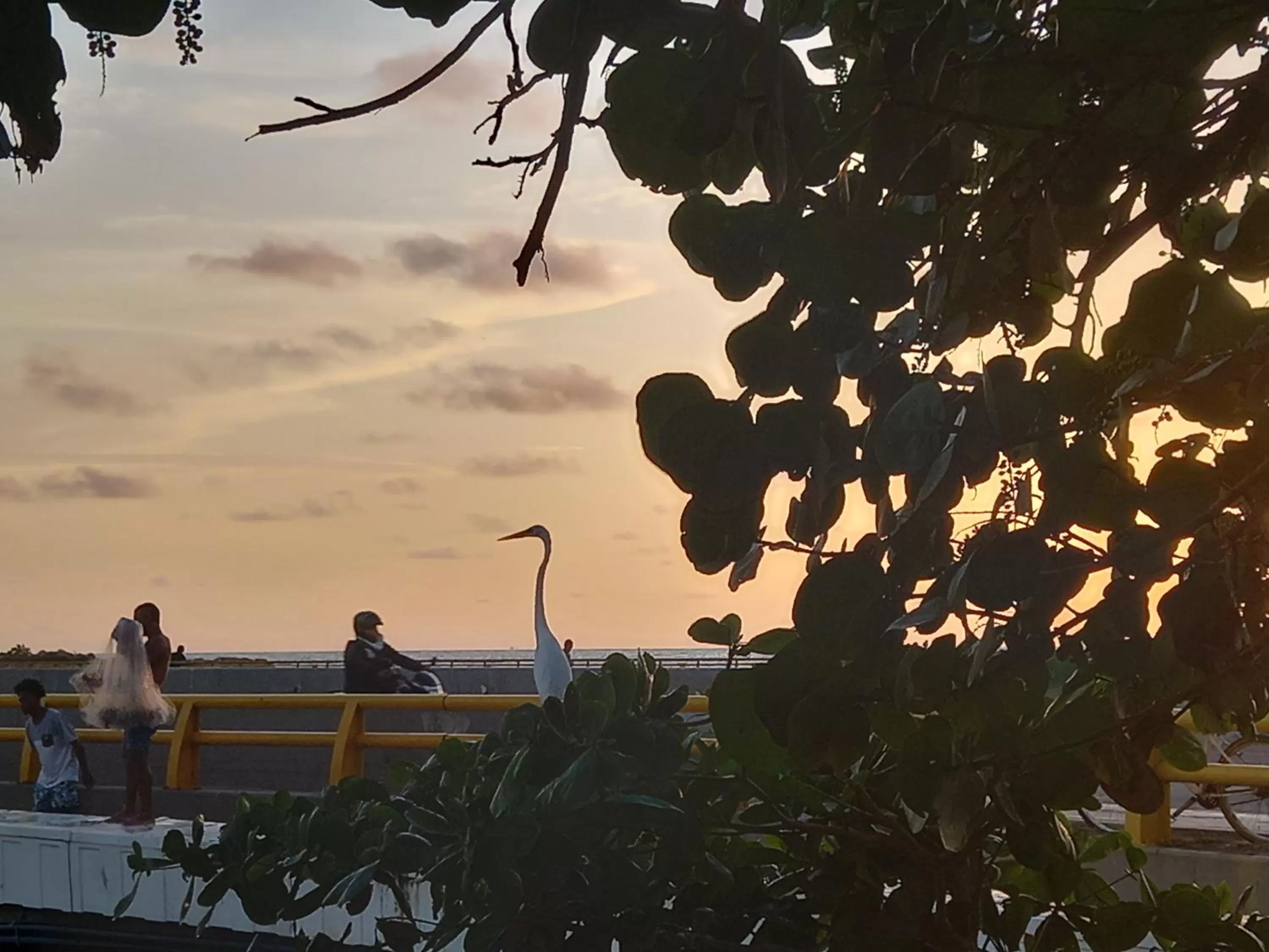 Hotel Boutique Casa Mar