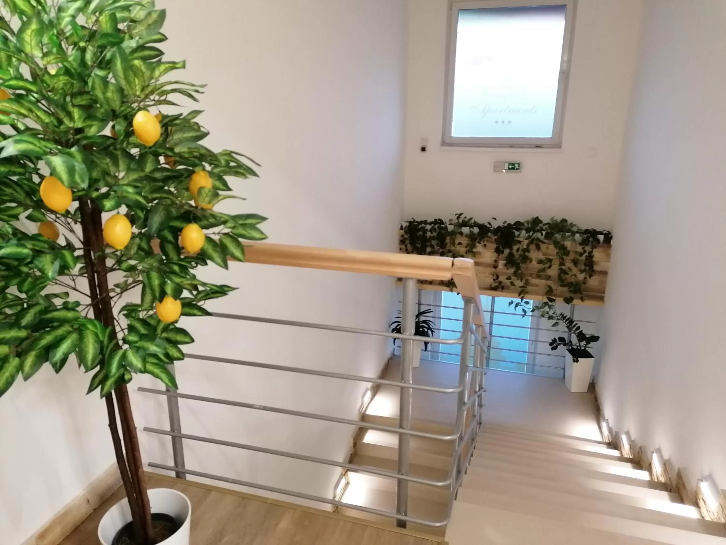 Other in Agro Complex Apartments