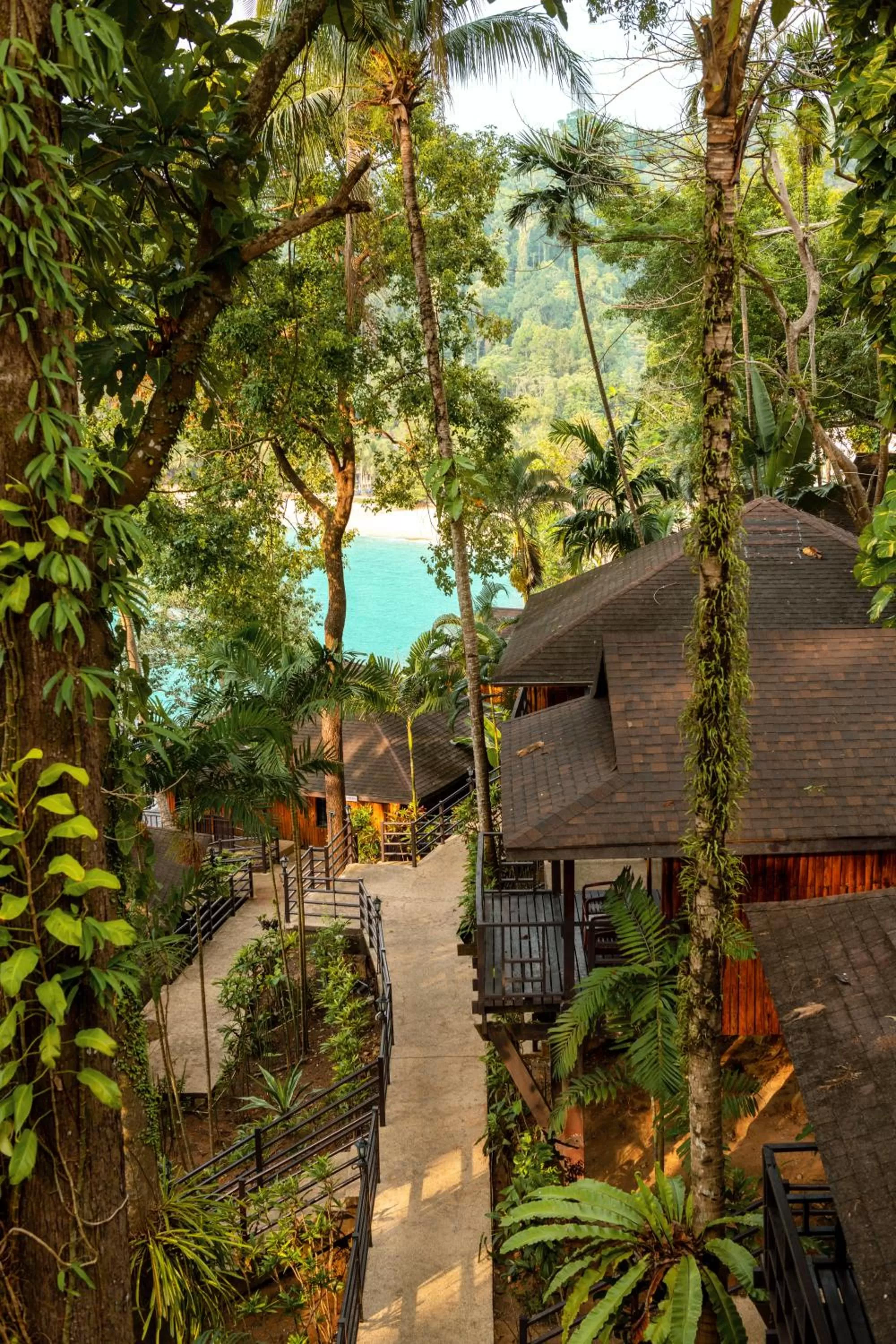 Garden in Baan Krating Khao Lak Resort - SHA plus