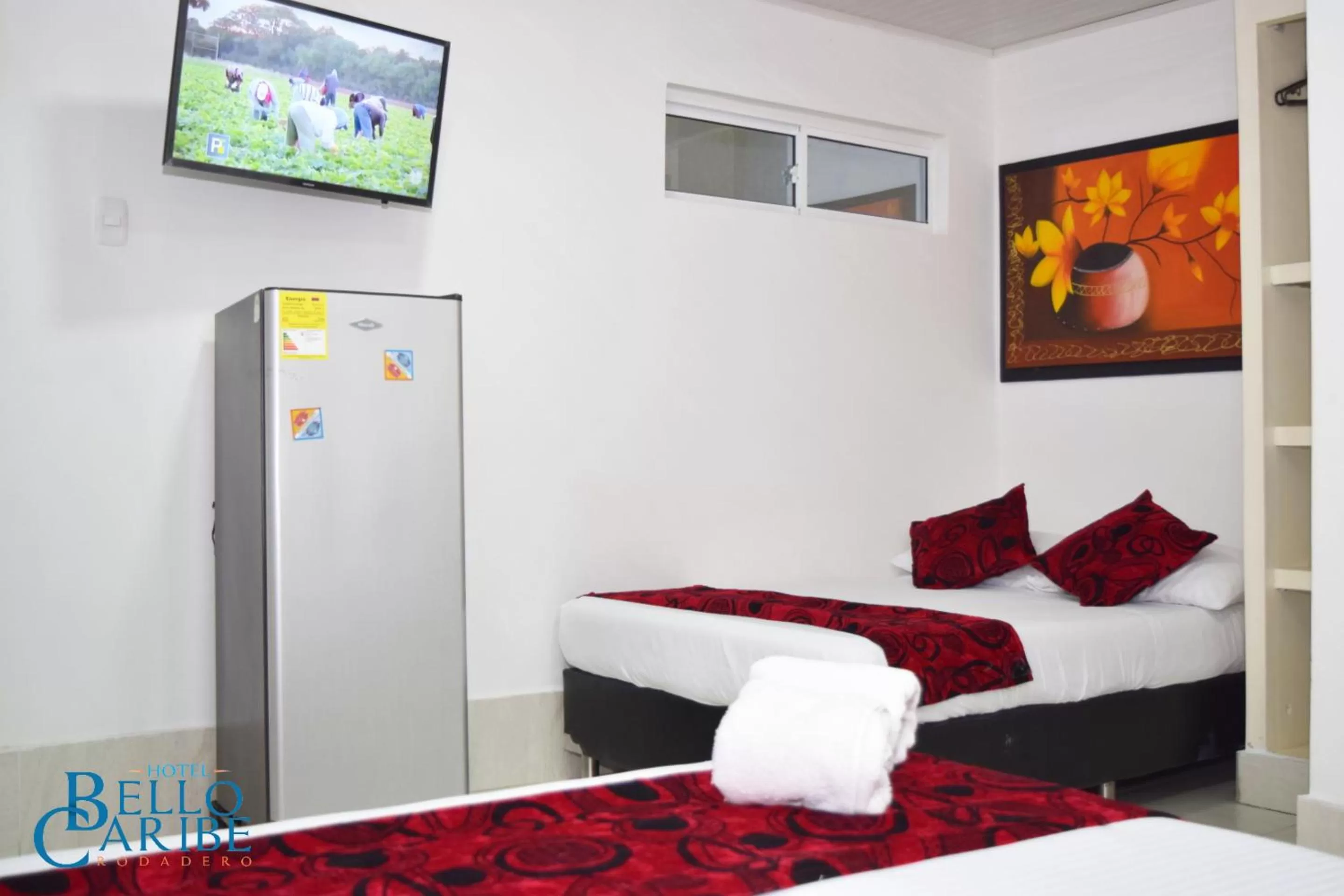 TV and multimedia in Hotel Bello Caribe