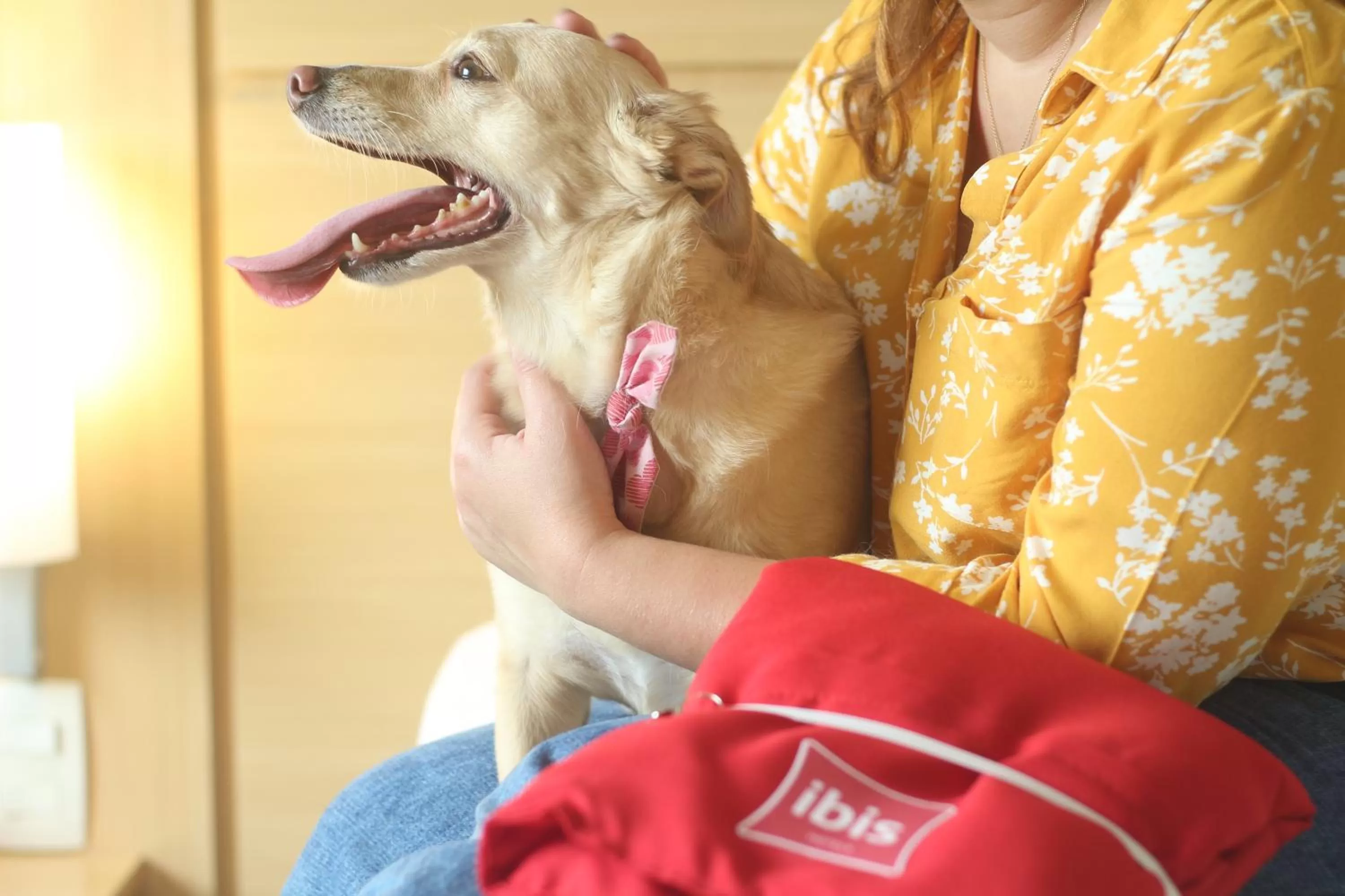 People in ibis Sao Jose dos Campos Dutra