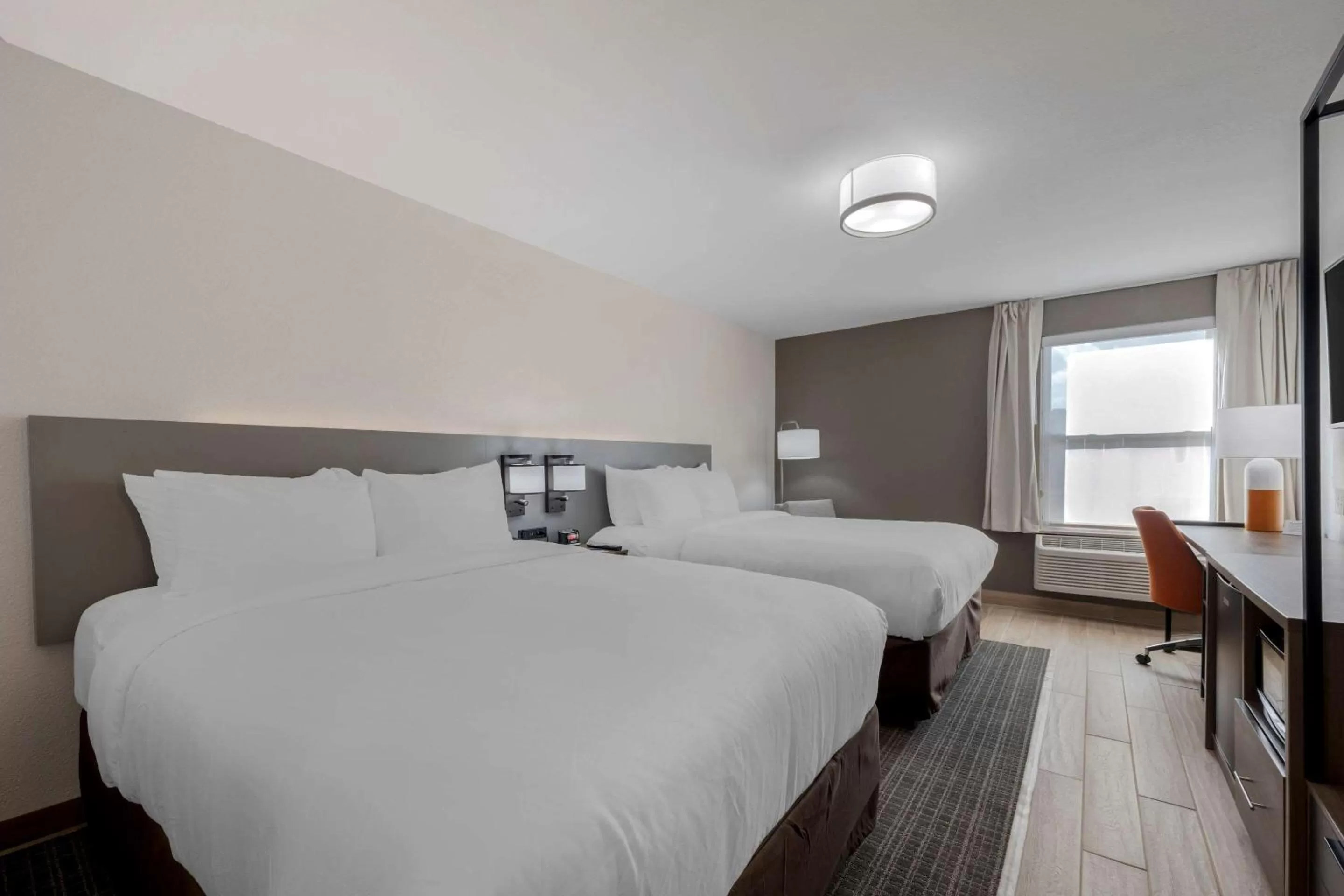 Photo of the whole room, Bed in Comfort Inn