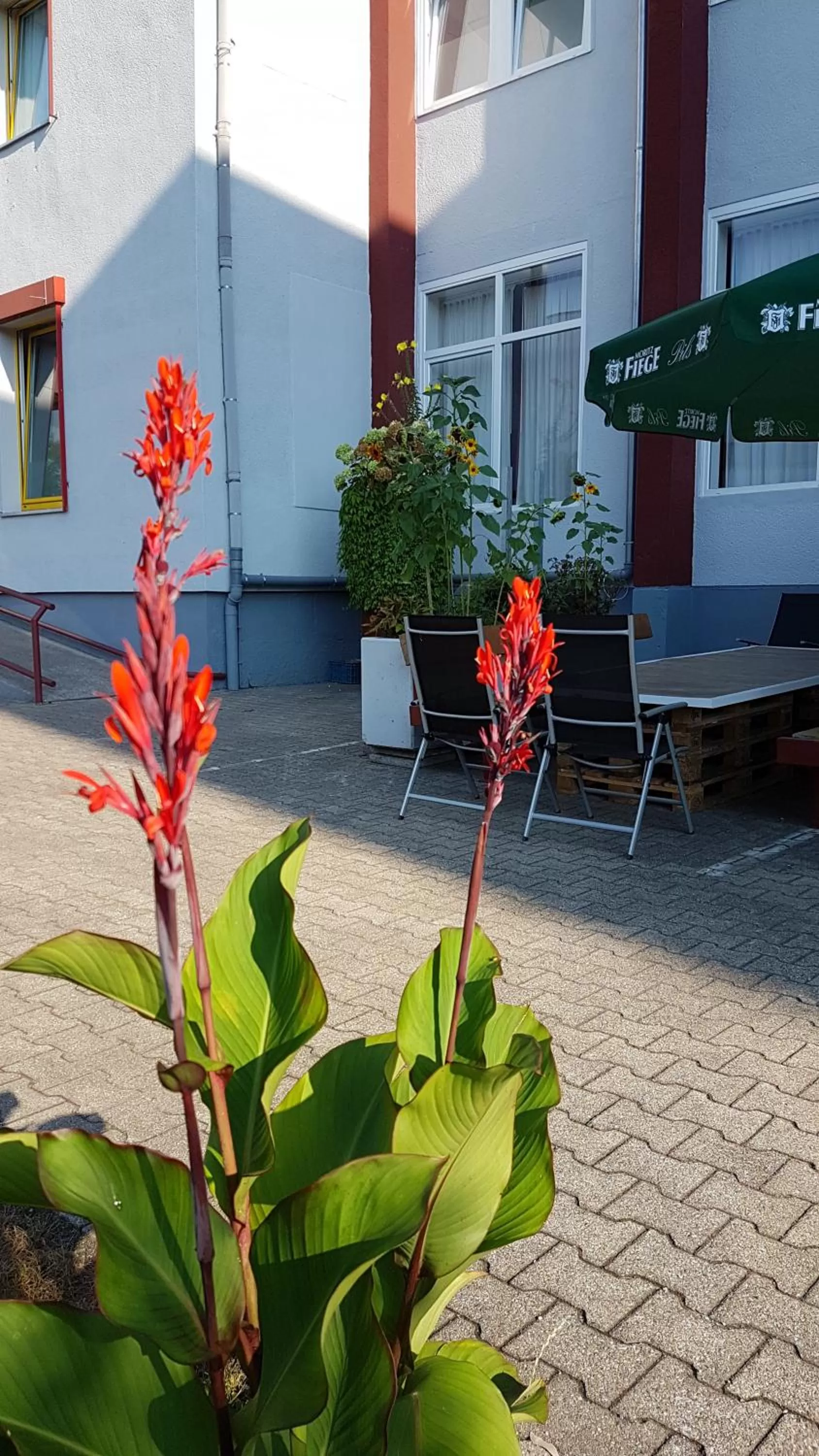 Garden in Ruhr Inn Hotel