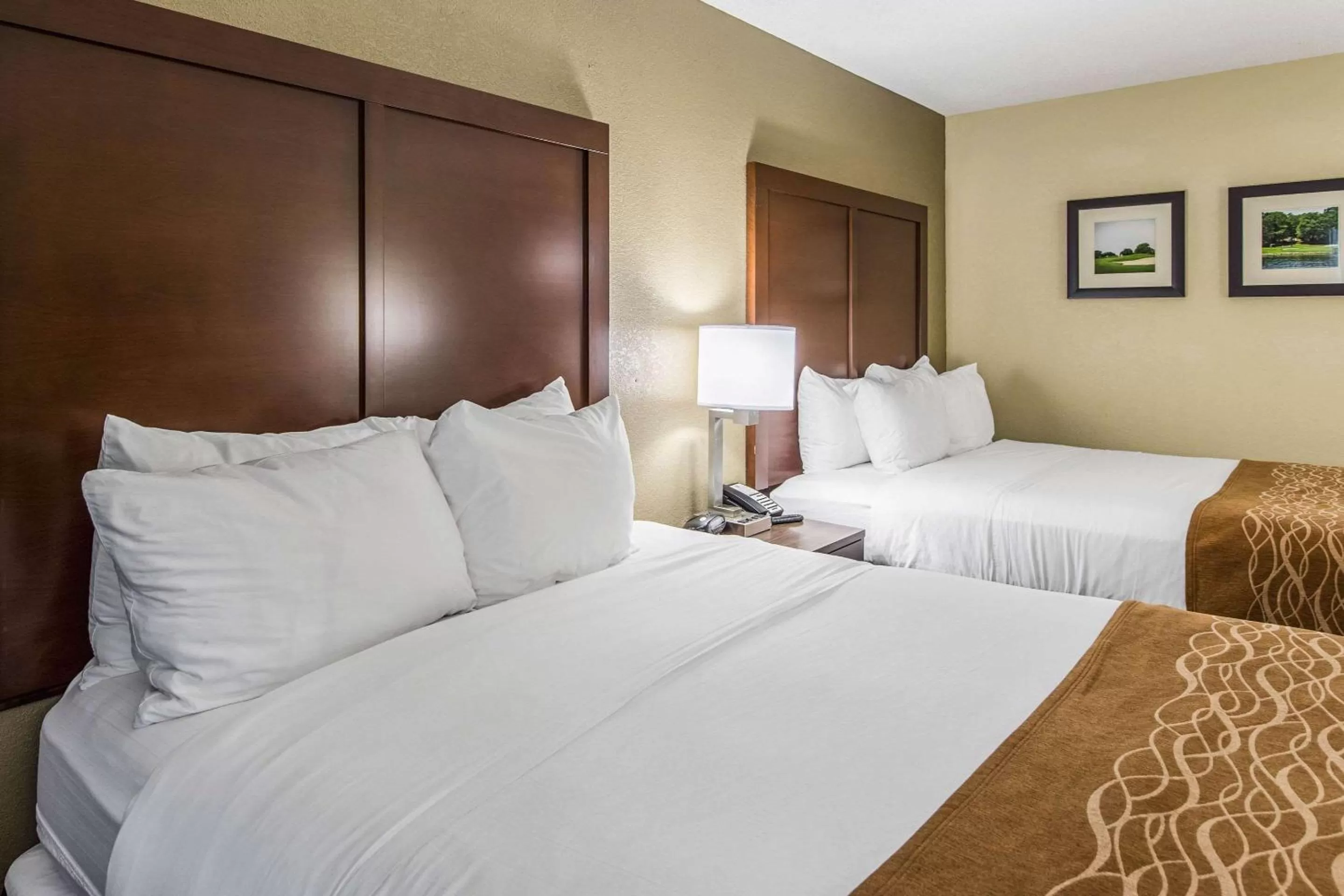 Photo of the whole room, Bed in Comfort Inn & Suites Greenwood near University