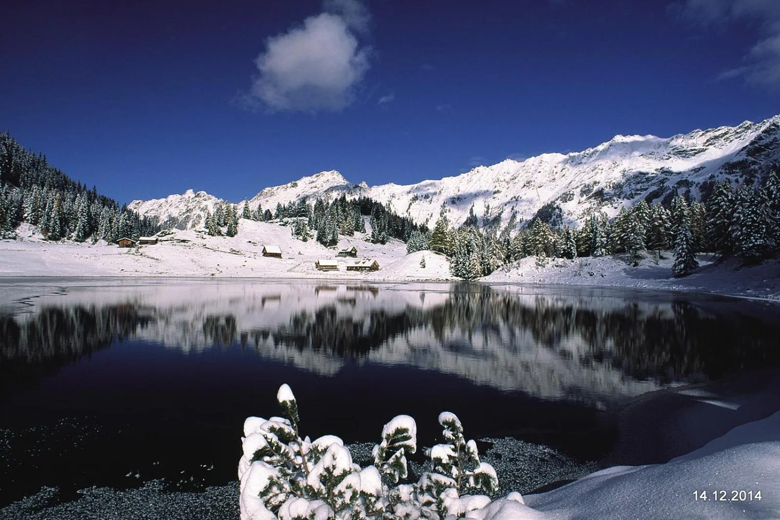 Natural landscape in Hotel Vitaler Landauerhof