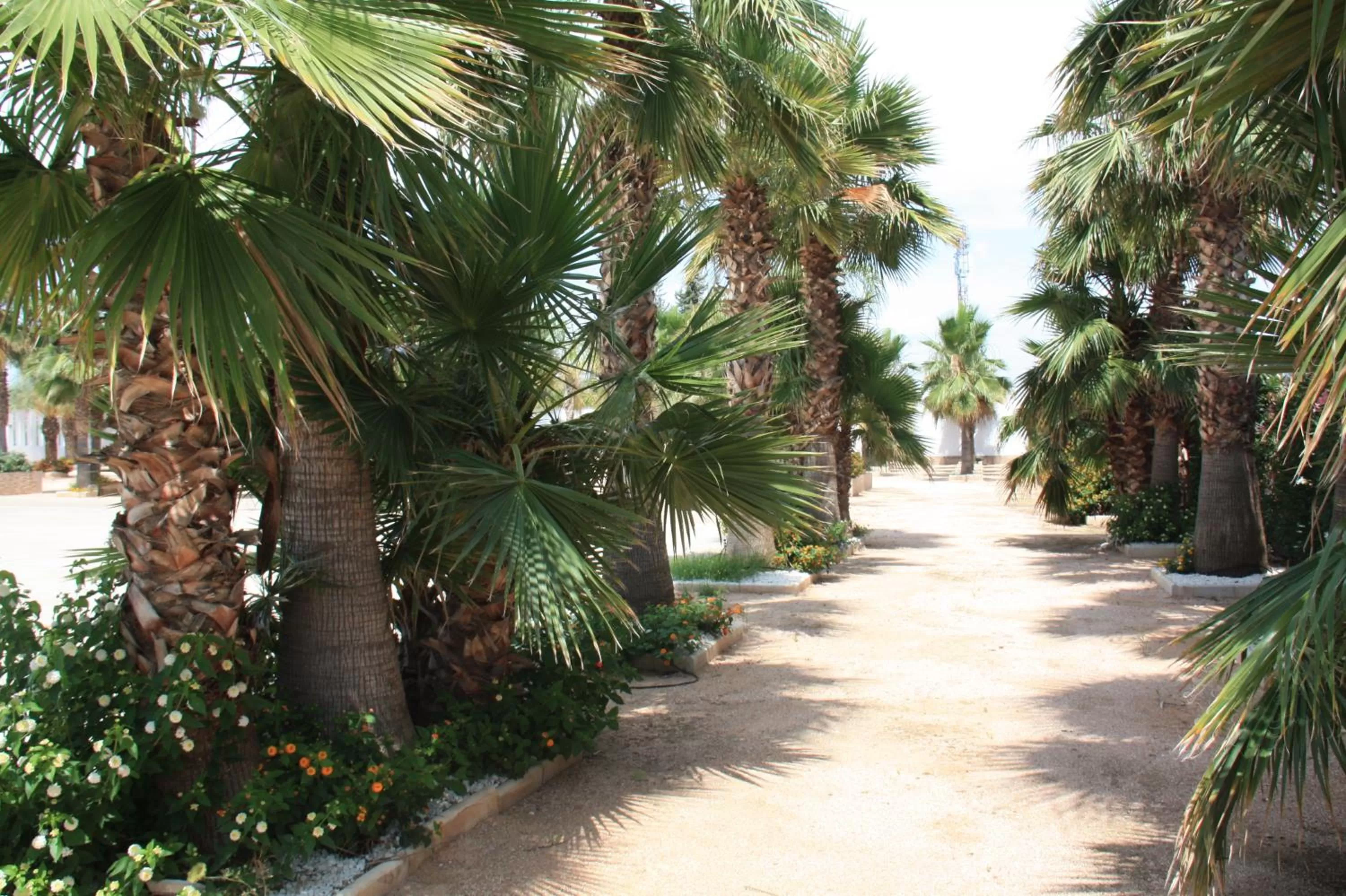 Off site in Hacienda Guadalquivir