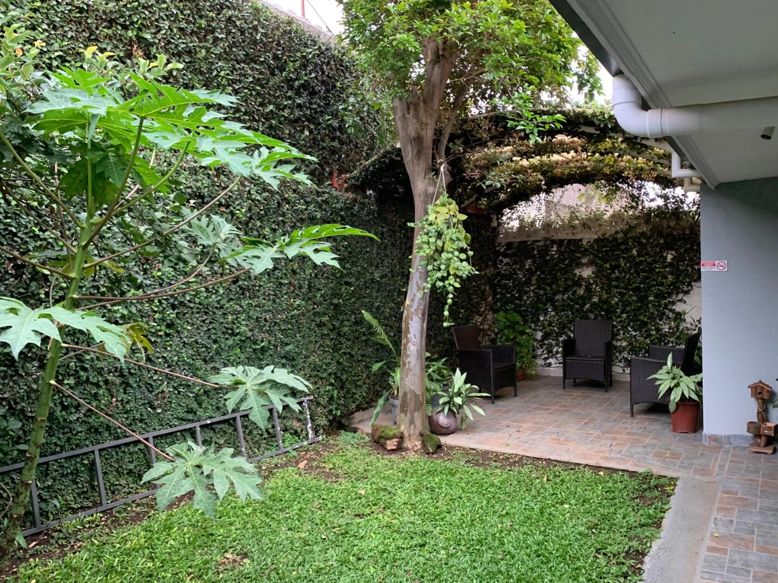 Garden in Sunrise by A-1