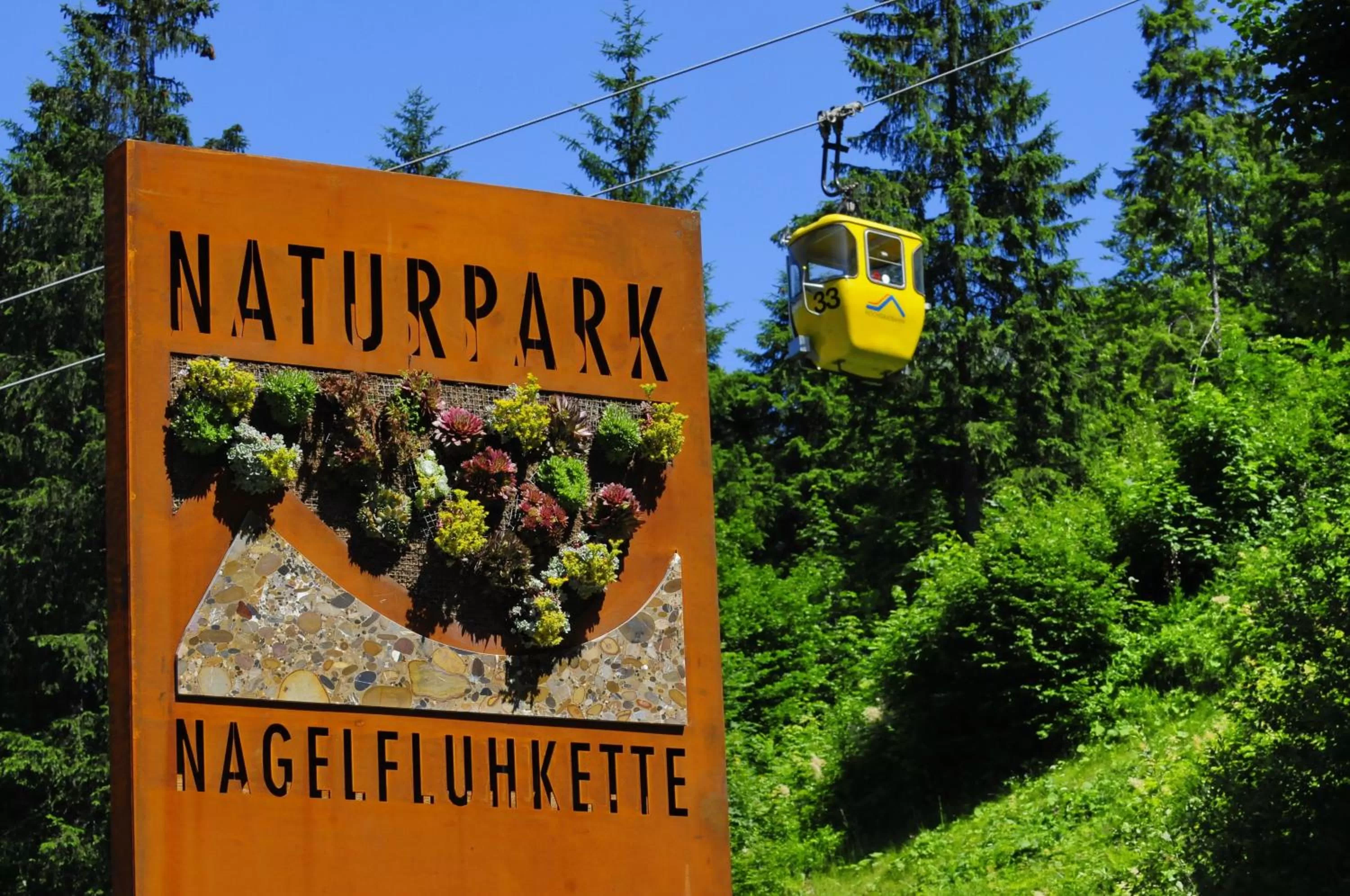 Area and facilities in Alpin & Wellness Resort Ludwig Royal