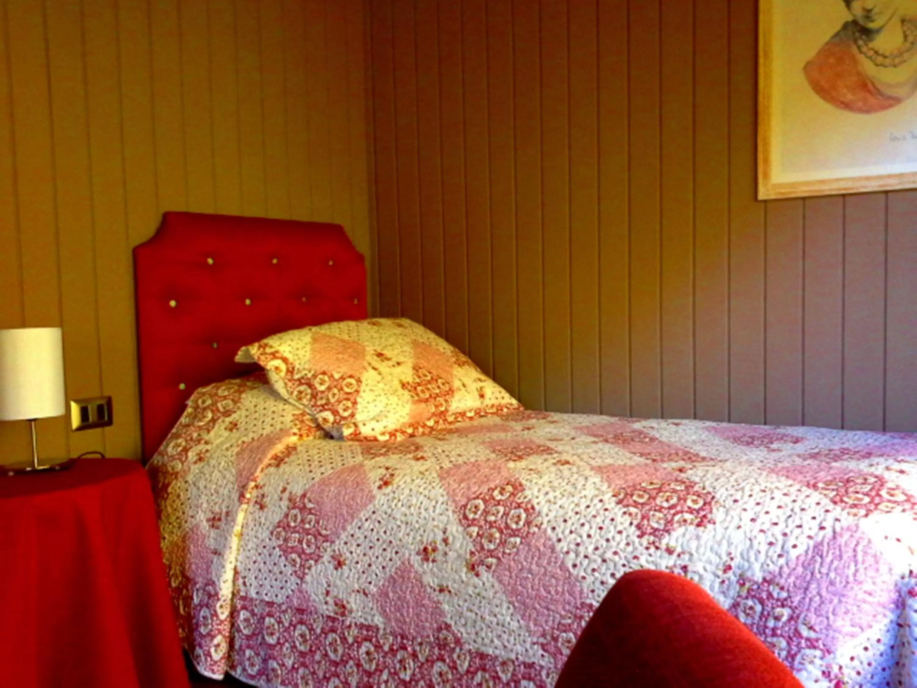 Bed in Hotel Salto del Carileufu