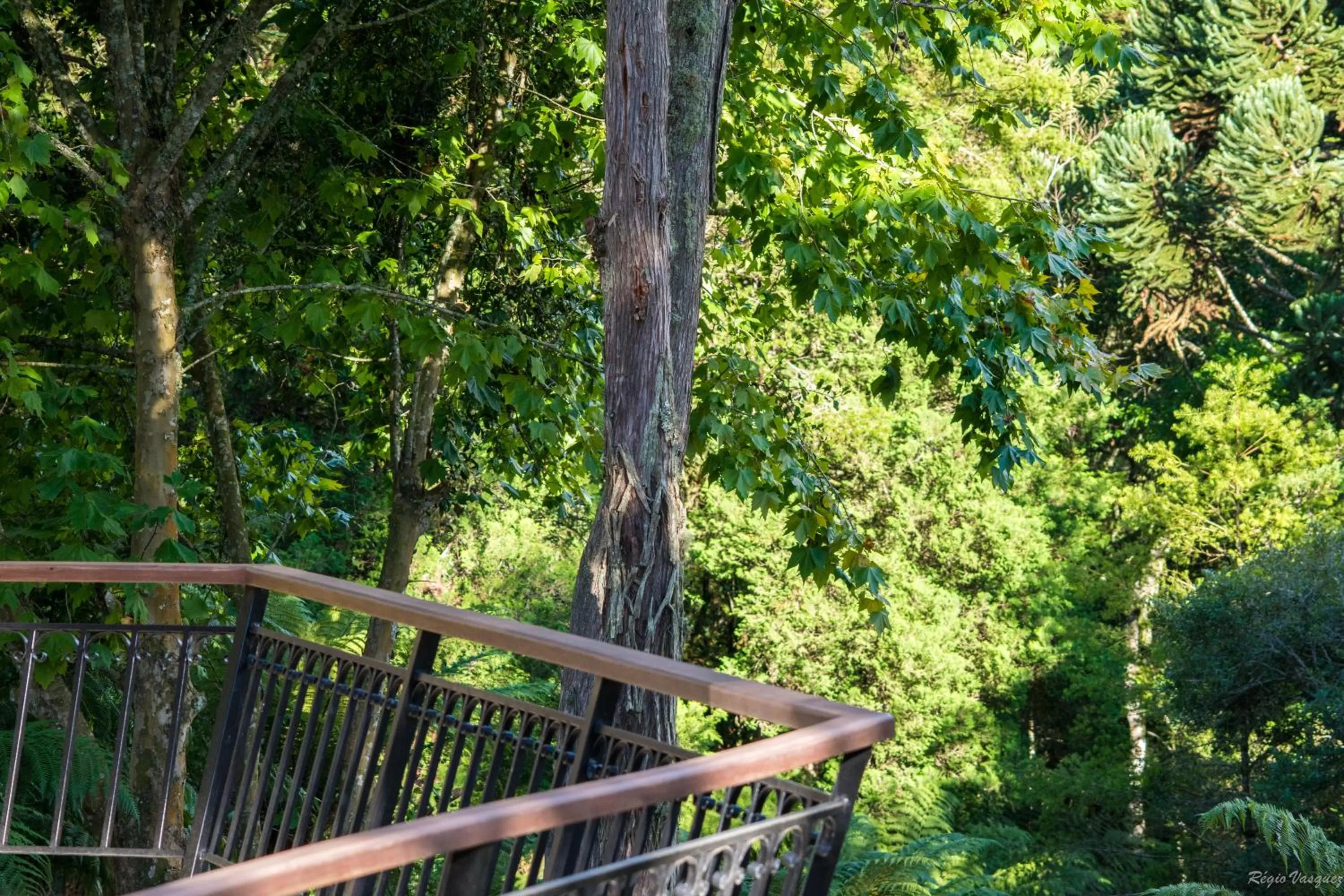 Natural landscape, Balcony/Terrace in Pousada Ricanto Amore Mio